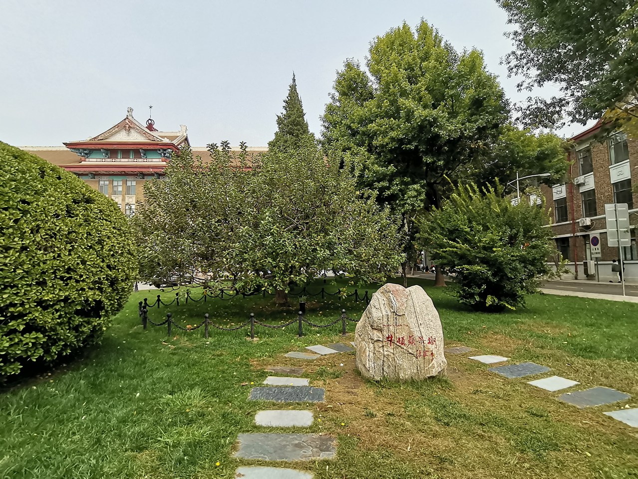 牛顿 11_20251016132031_279_220_副本.jpg