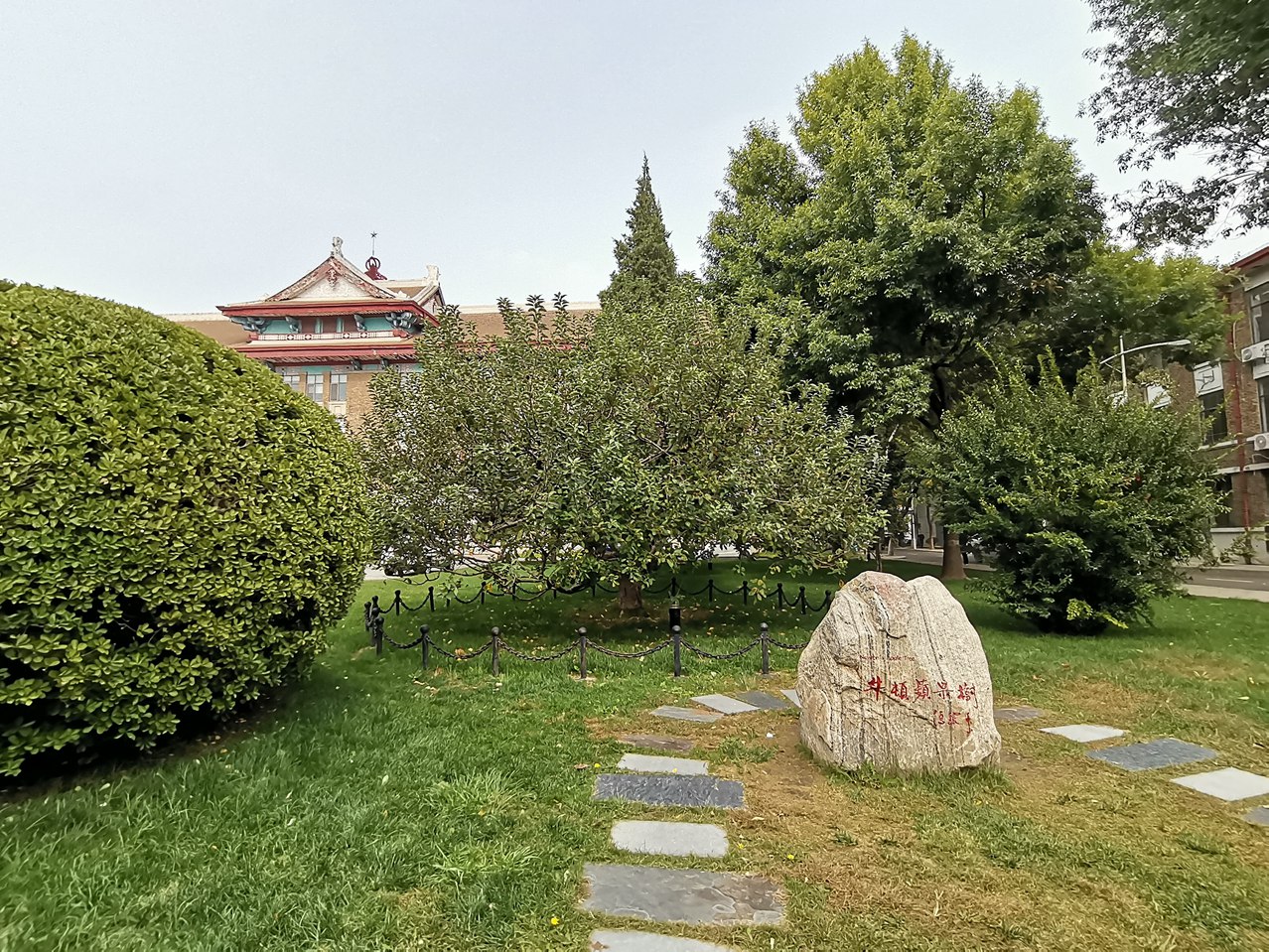 牛顿 22_20251016132042_282_220_副本.jpg