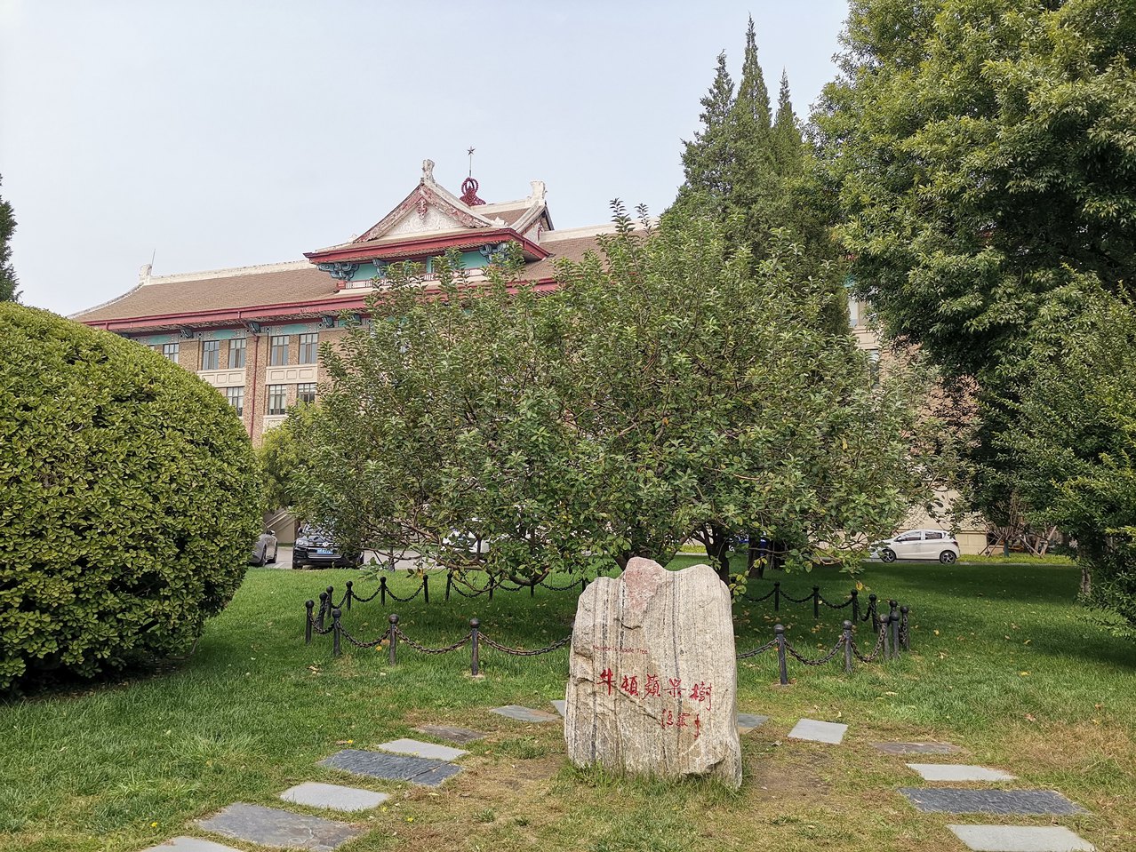 牛顿 44_20251016132057_285_220_副本.jpg