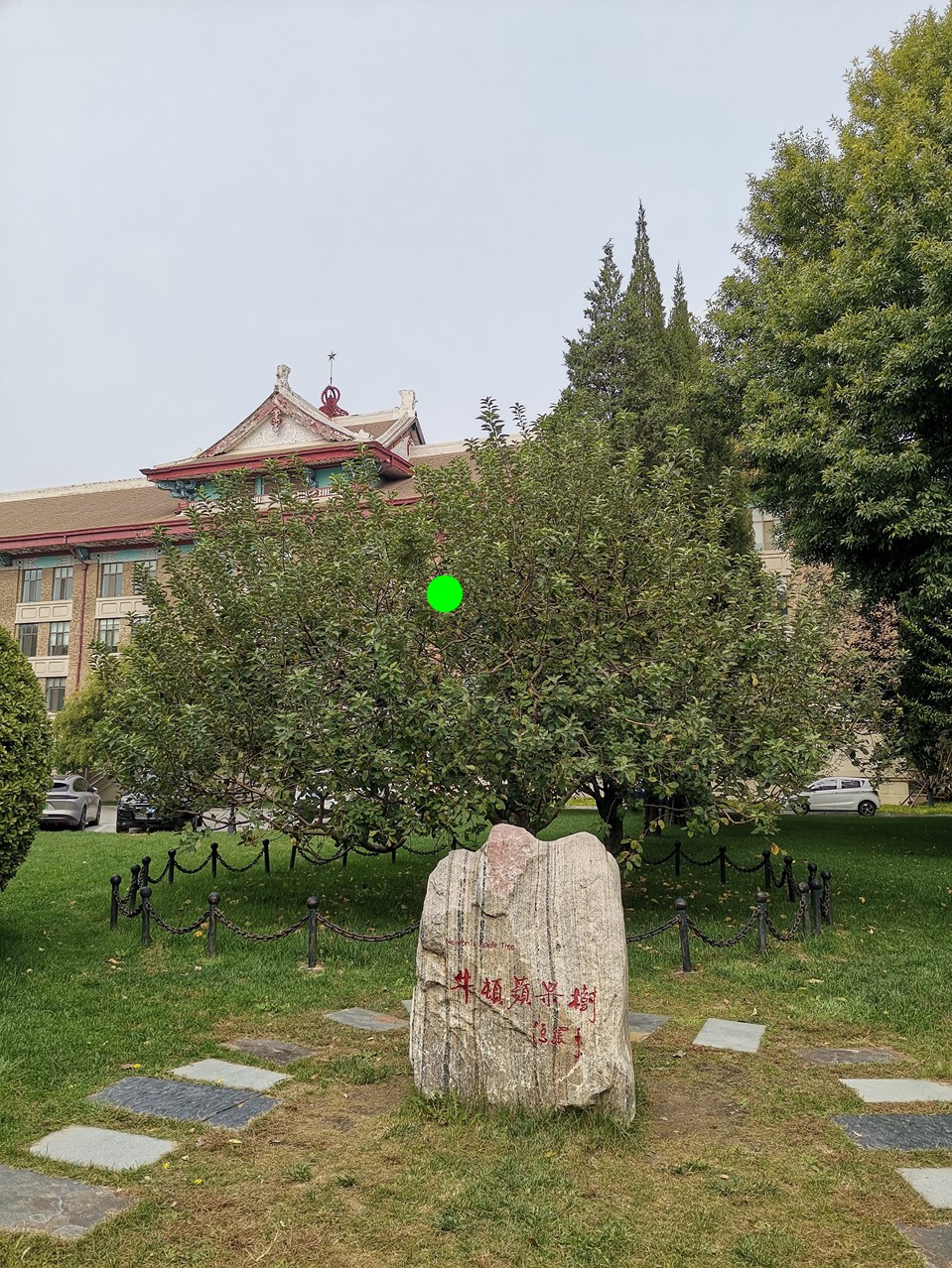 牛顿 55_20251016132108_287_220_副本添加.jpg