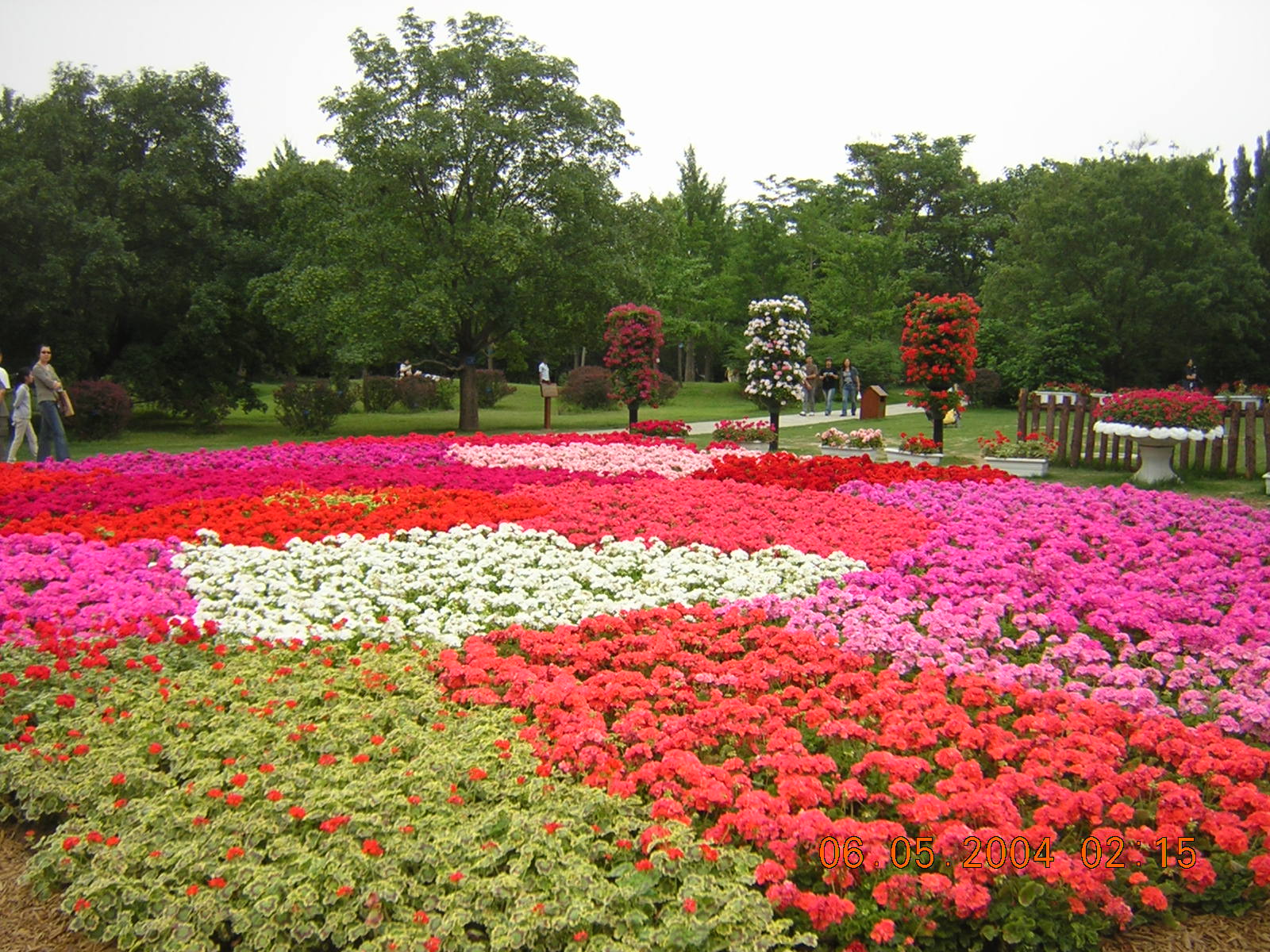DSCN1299.JPG