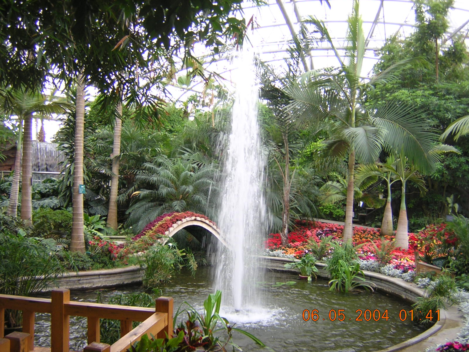 DSCN1295.JPG