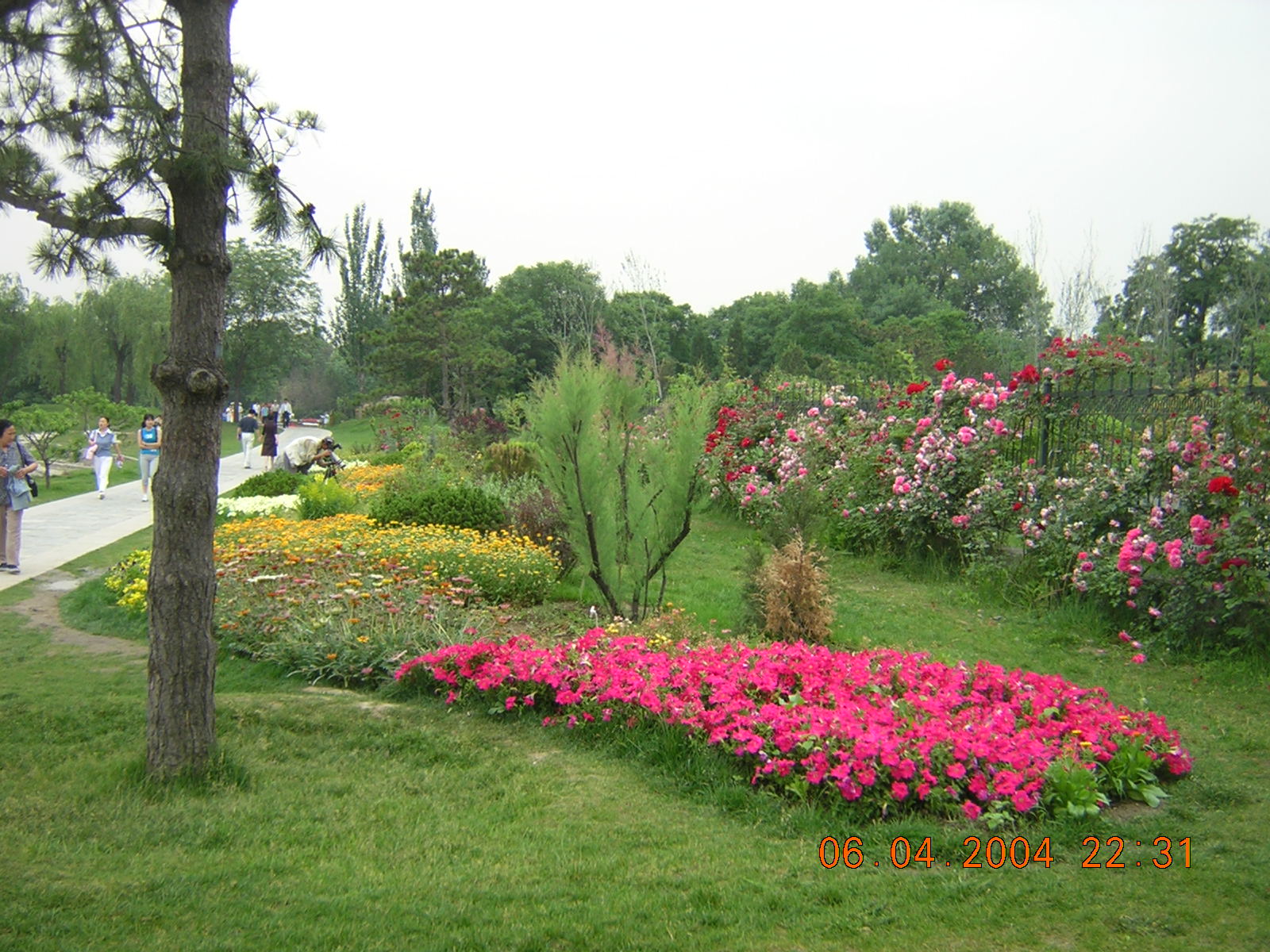 DSCN1292.JPG