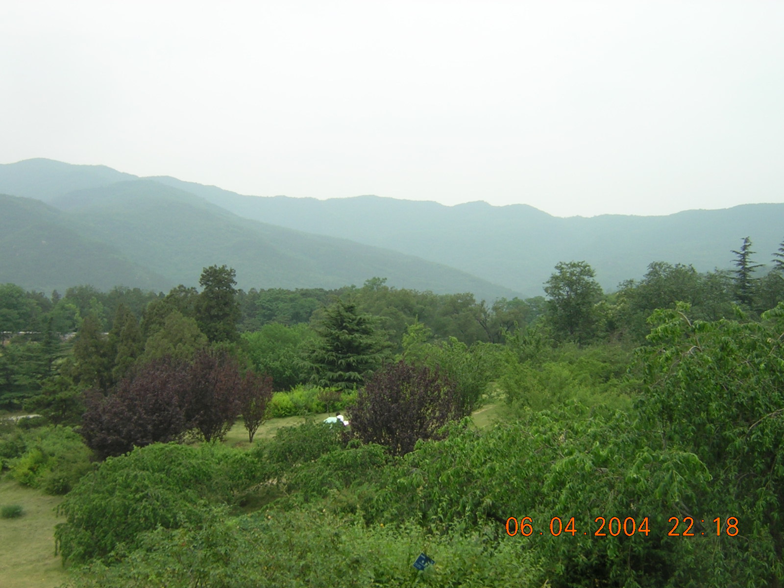DSCN1285.JPG