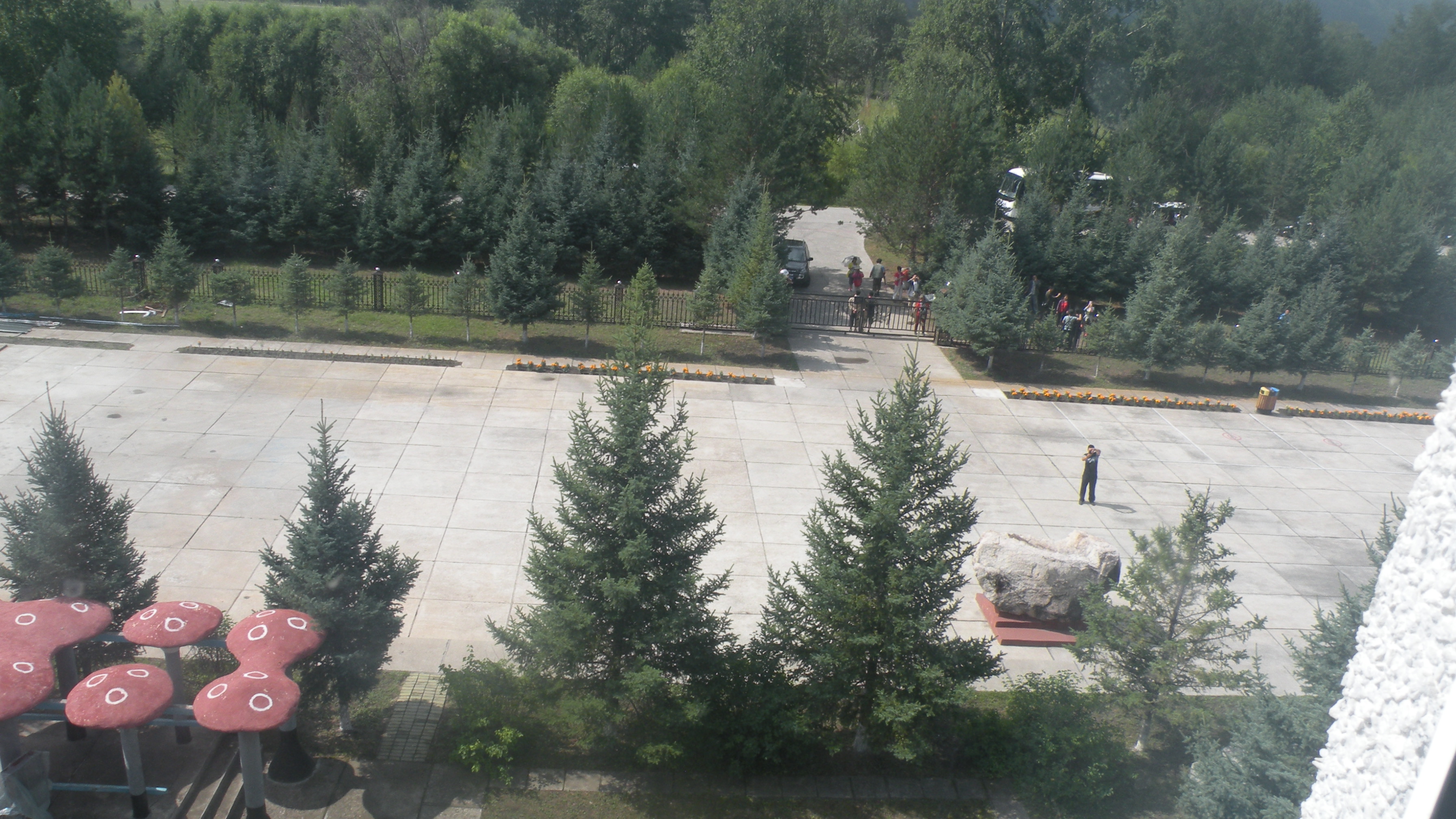 DSCN9894.JPG