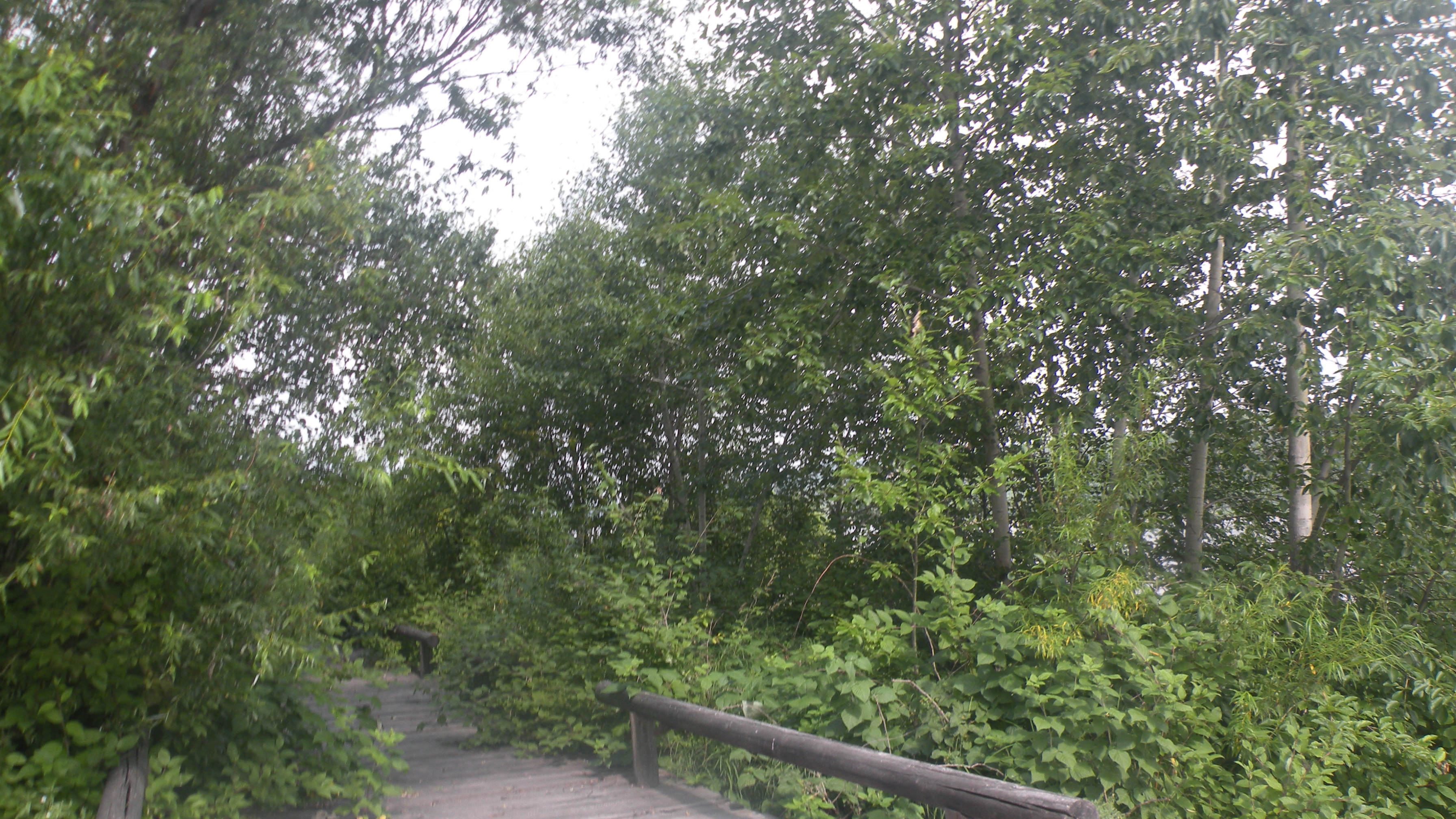 DSCN9864.JPG
