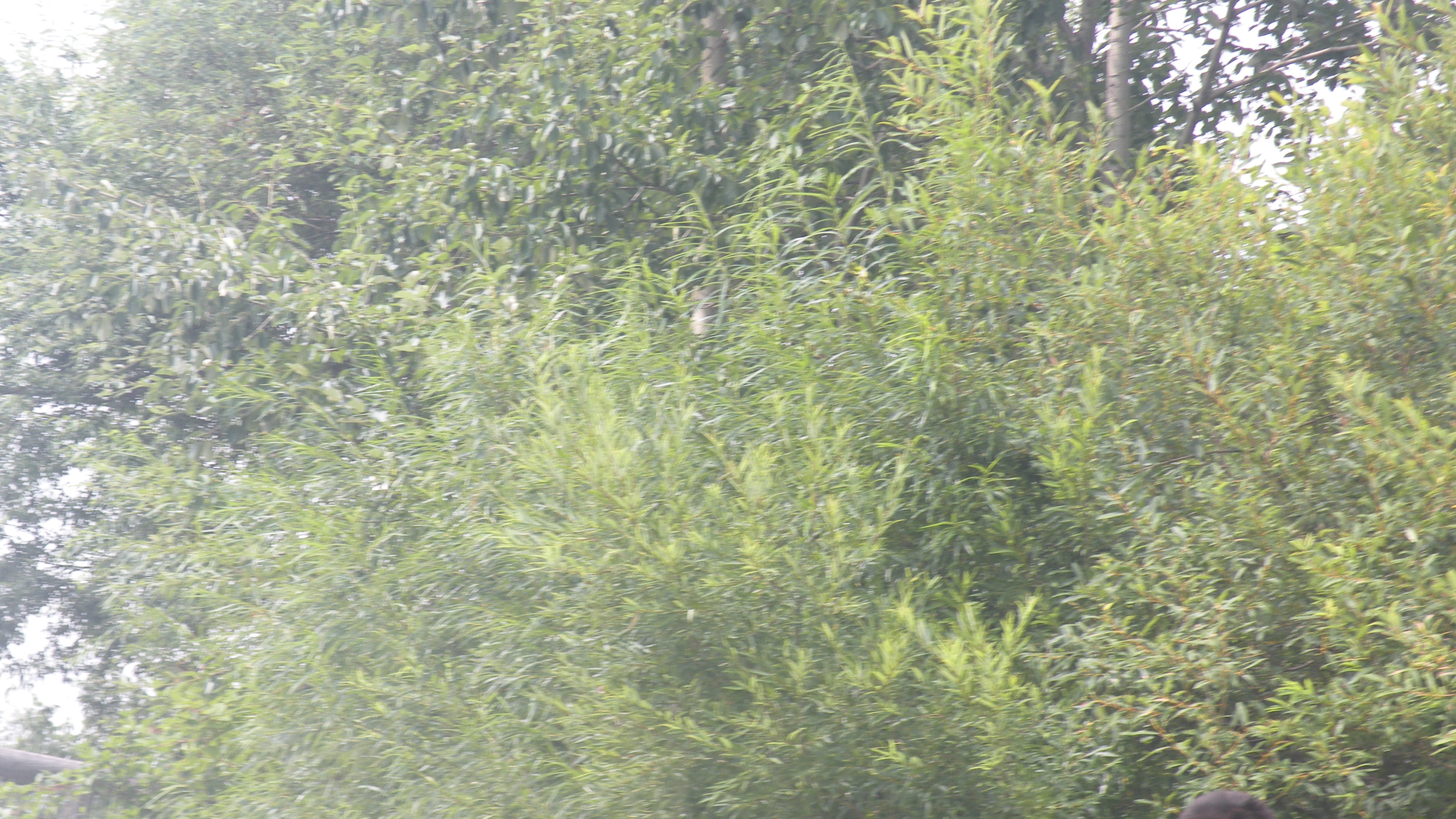 DSCN9863.JPG