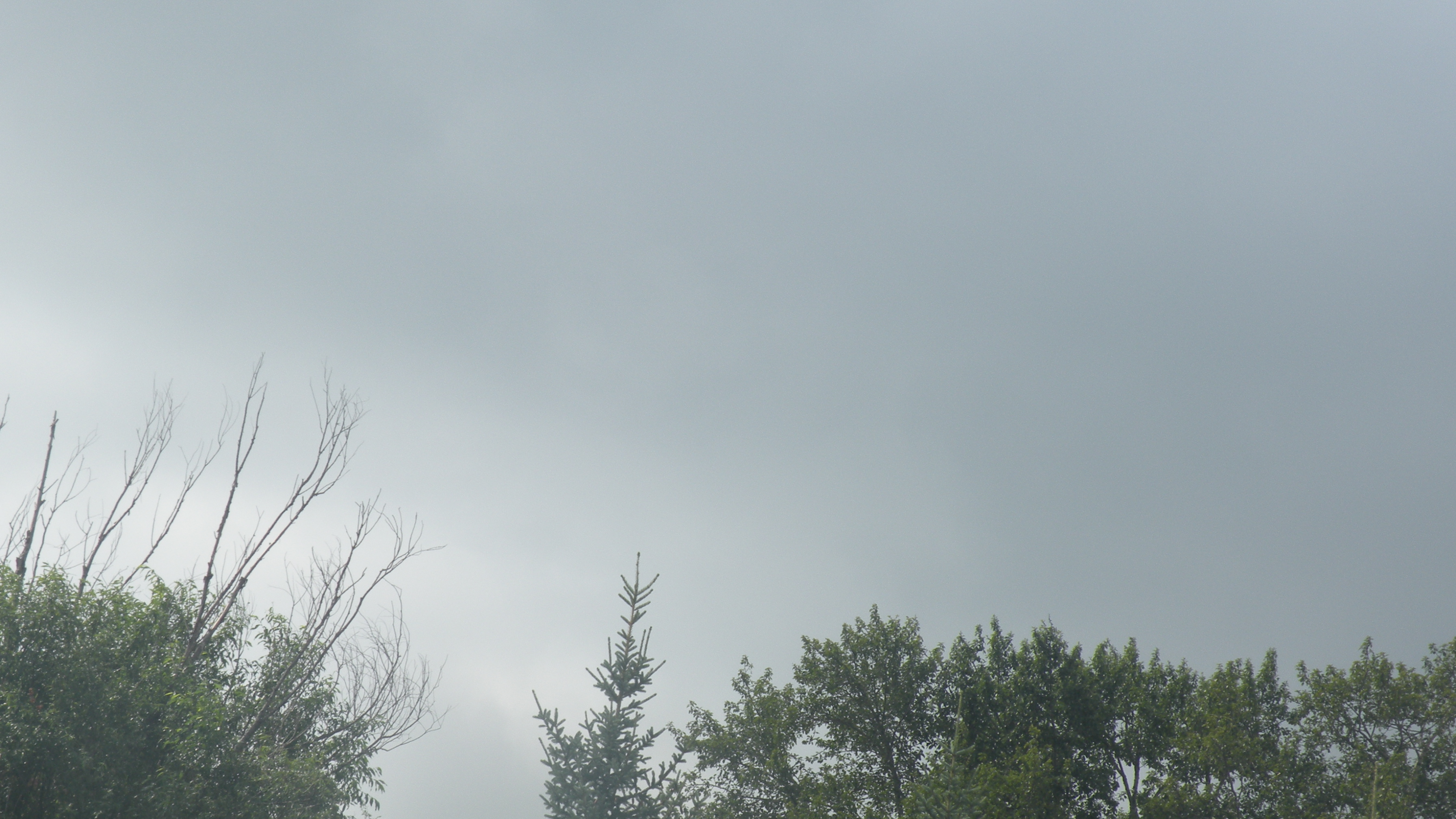 DSCN9859.JPG