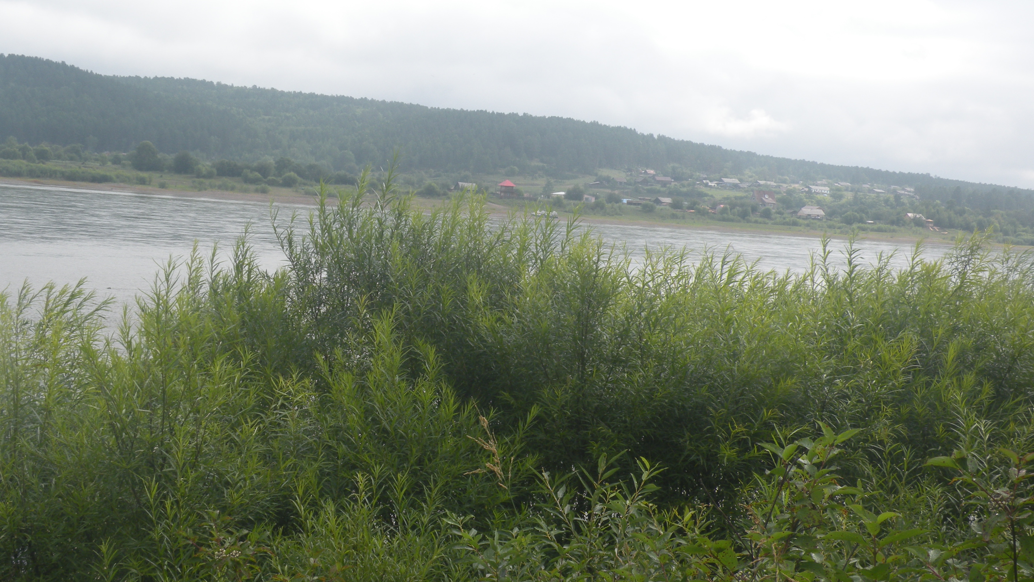 DSCN9736.JPG
