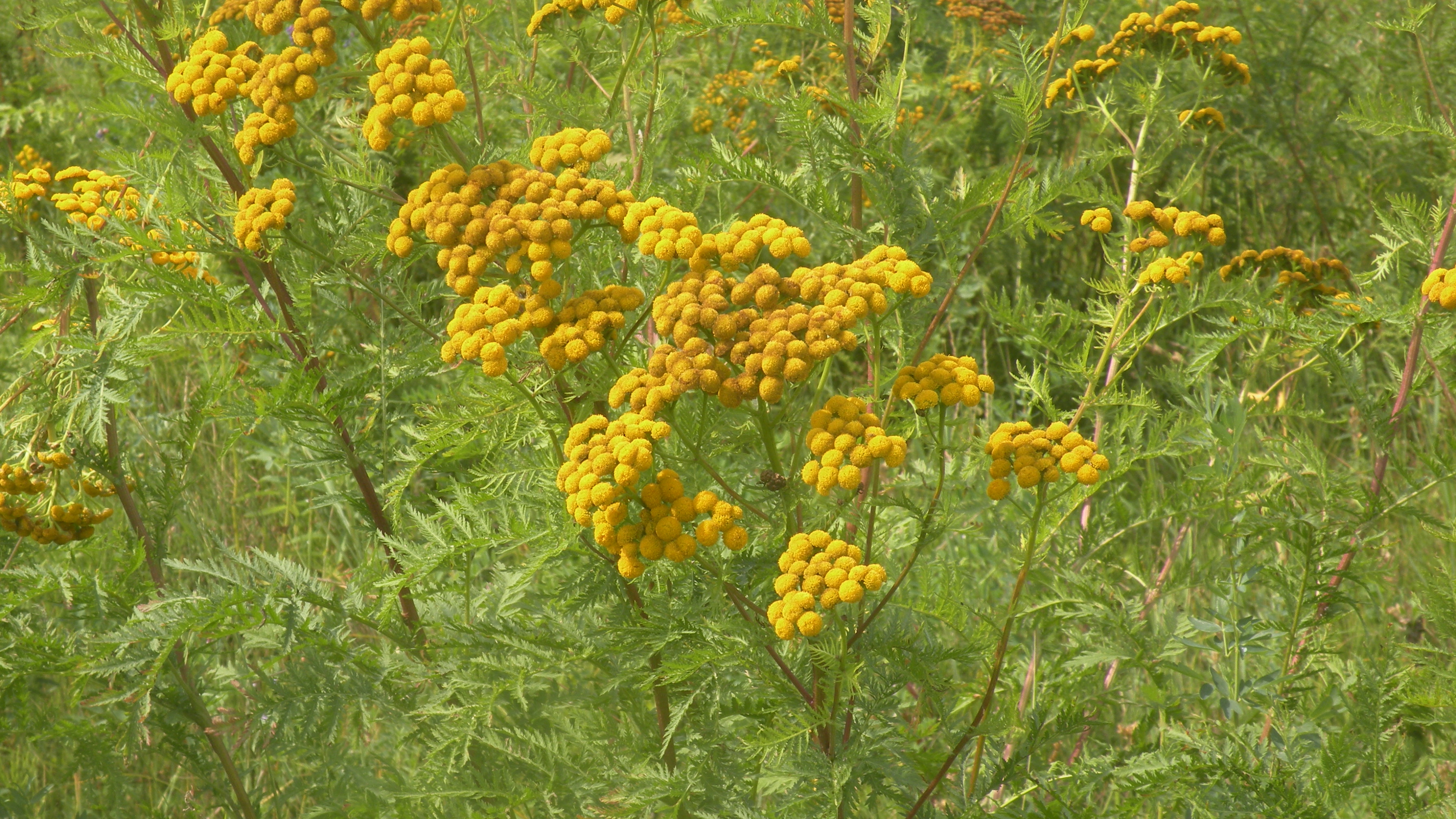 DSCN9812.JPG