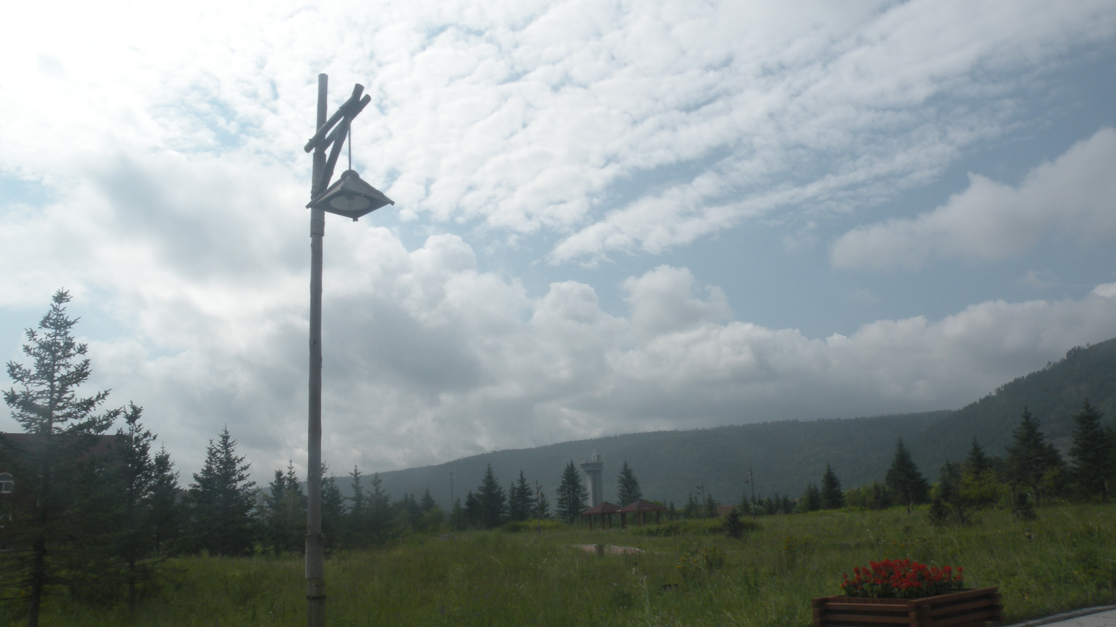 DSCN9782.JPG