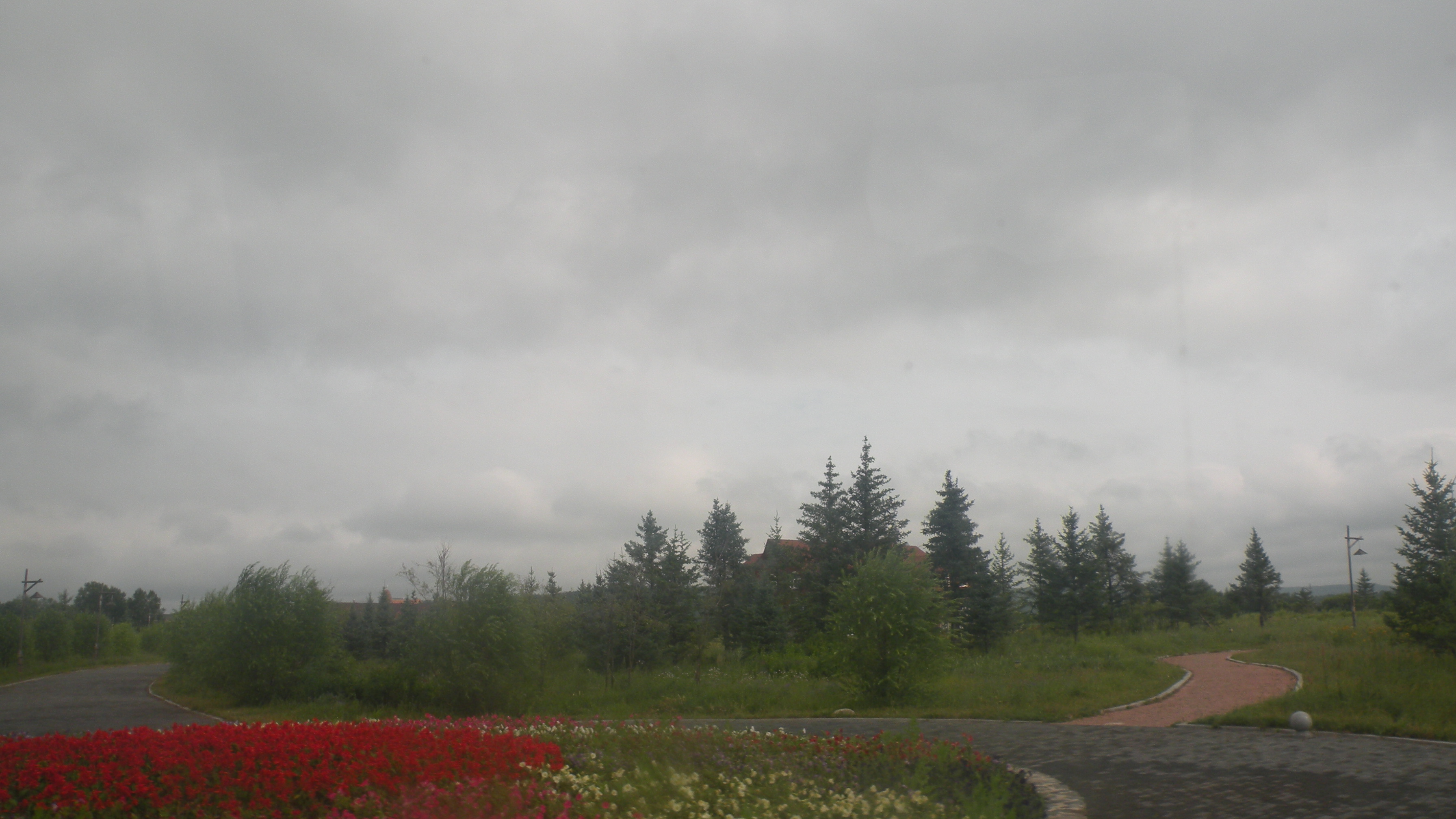 DSCN9746.JPG