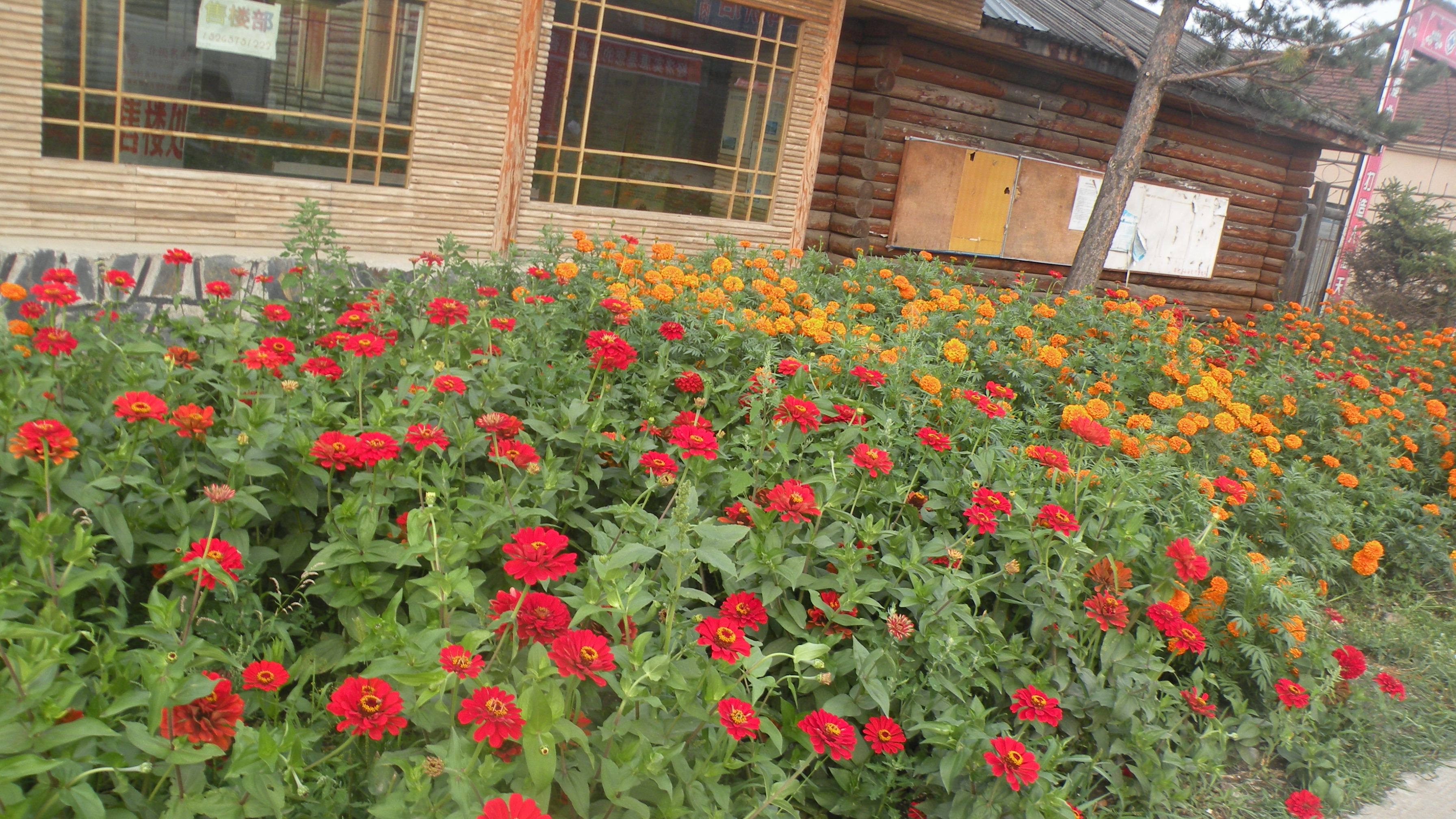 DSCN0366.JPG