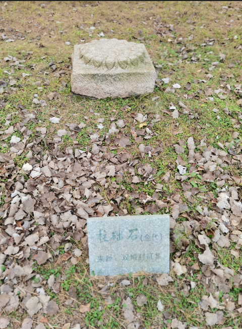哈尔滨金太祖陵址公园39.jpg