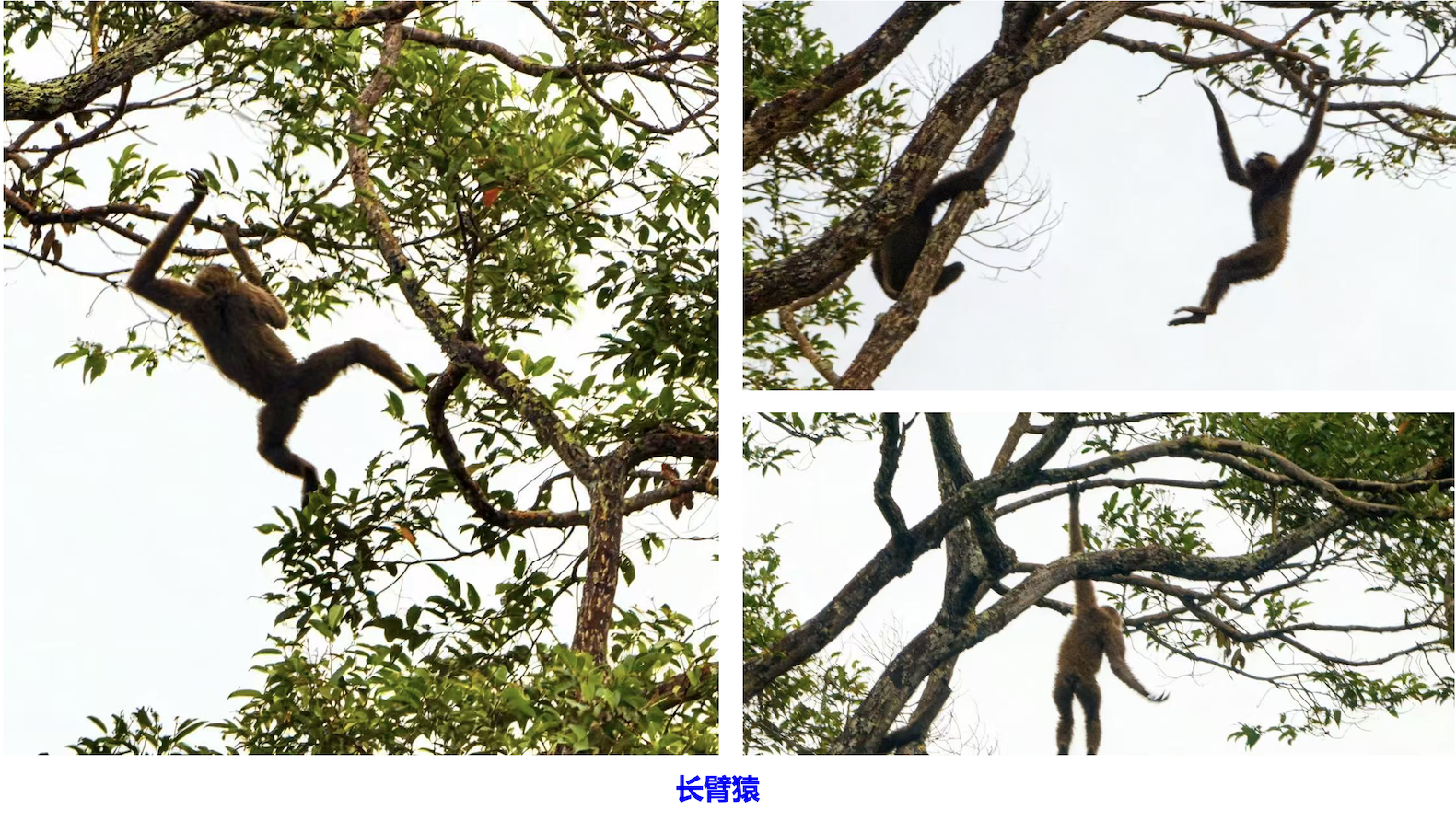 图9.png