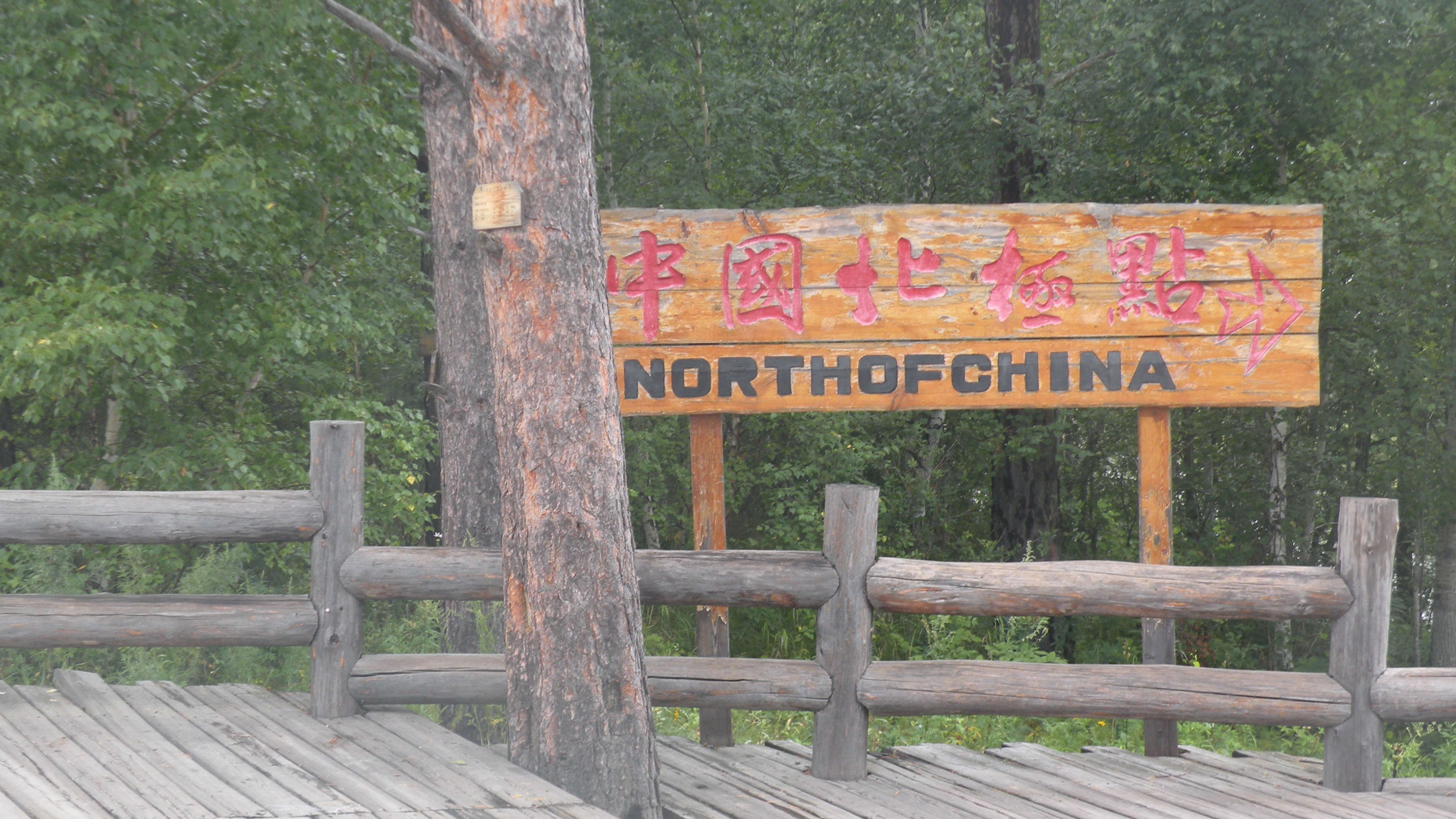 DSCN0155.JPG