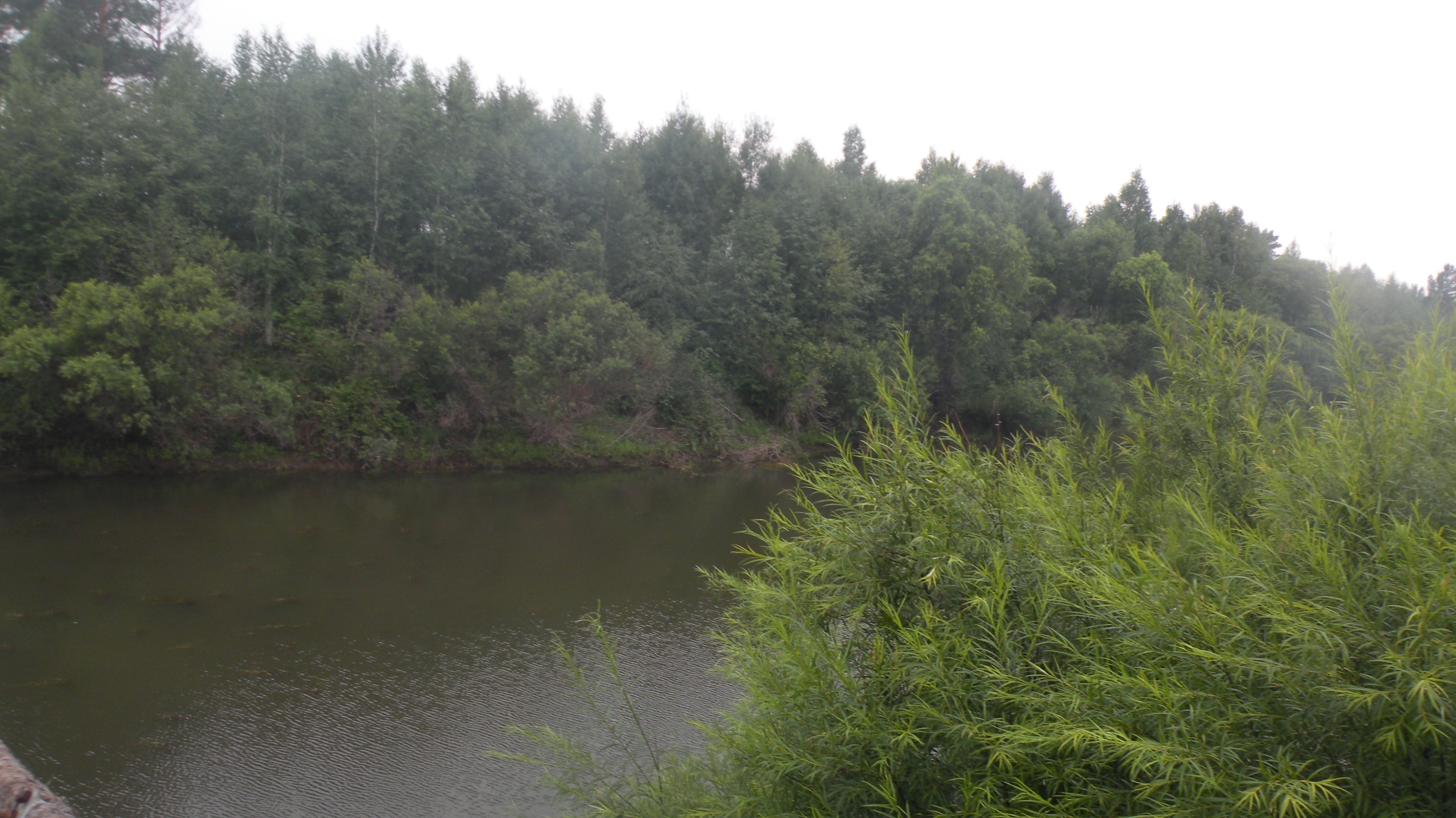 DSCN0176.JPG