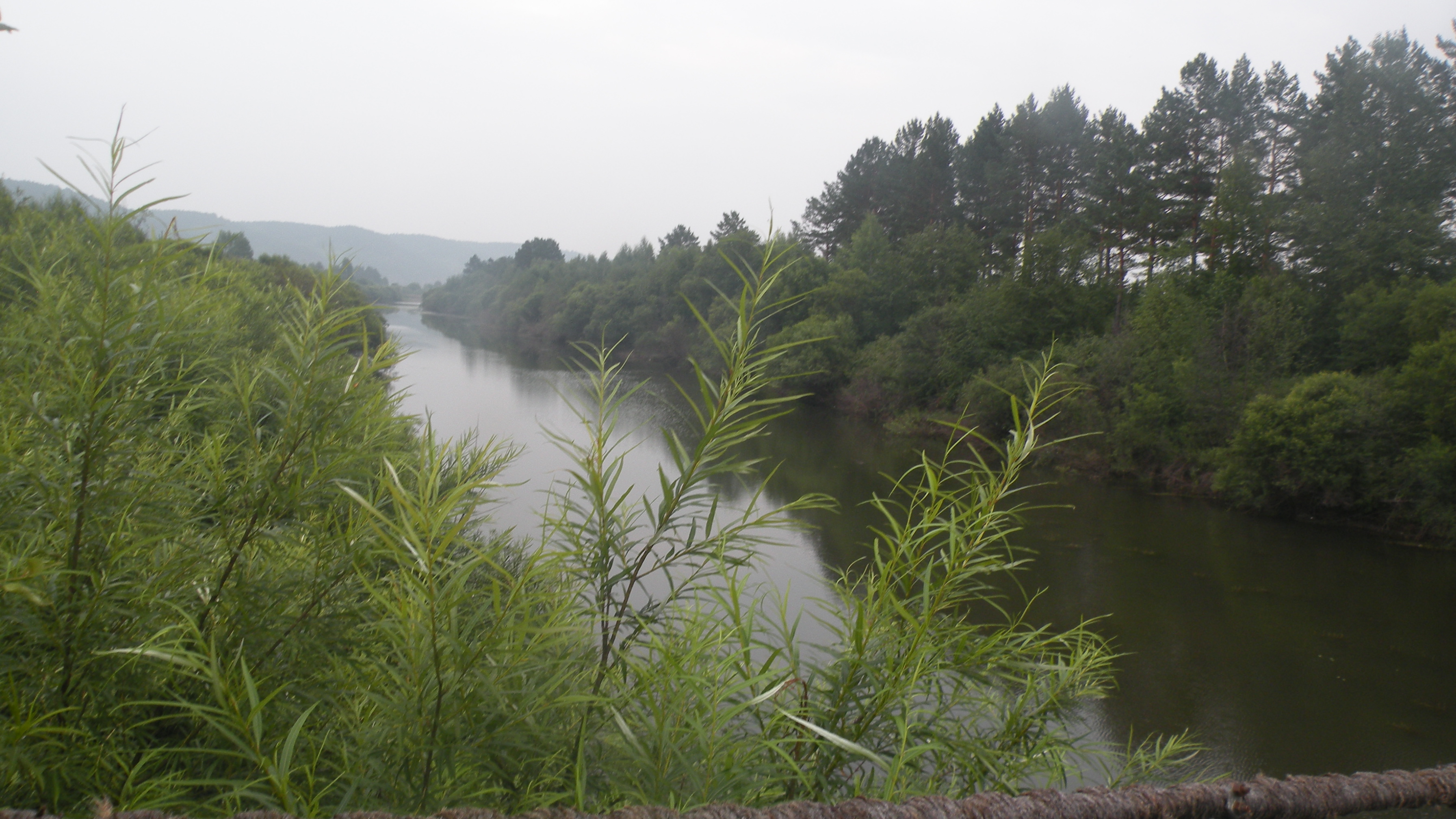 DSCN0175.JPG