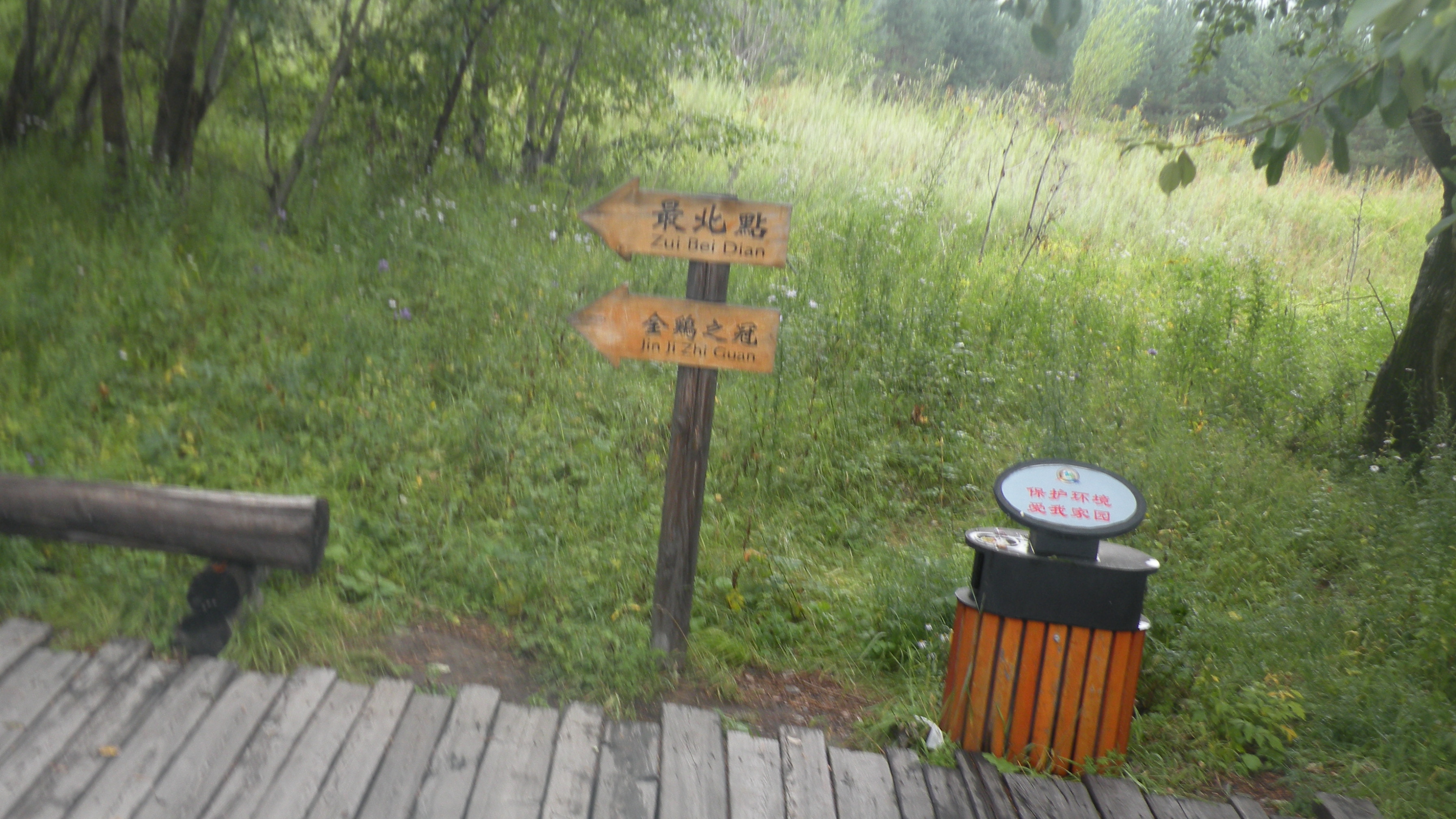DSCN0181.JPG