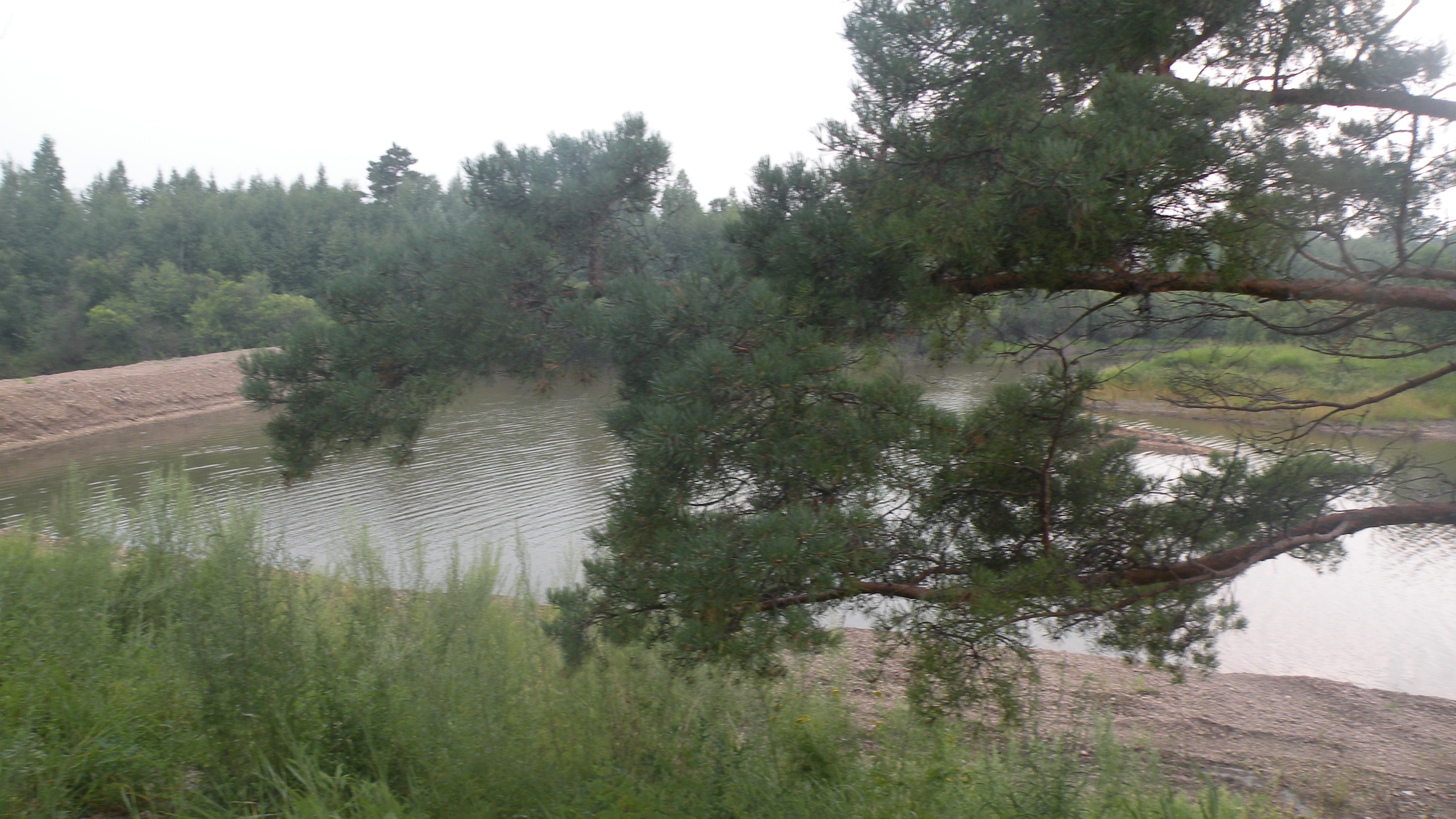 DSCN0205.JPG