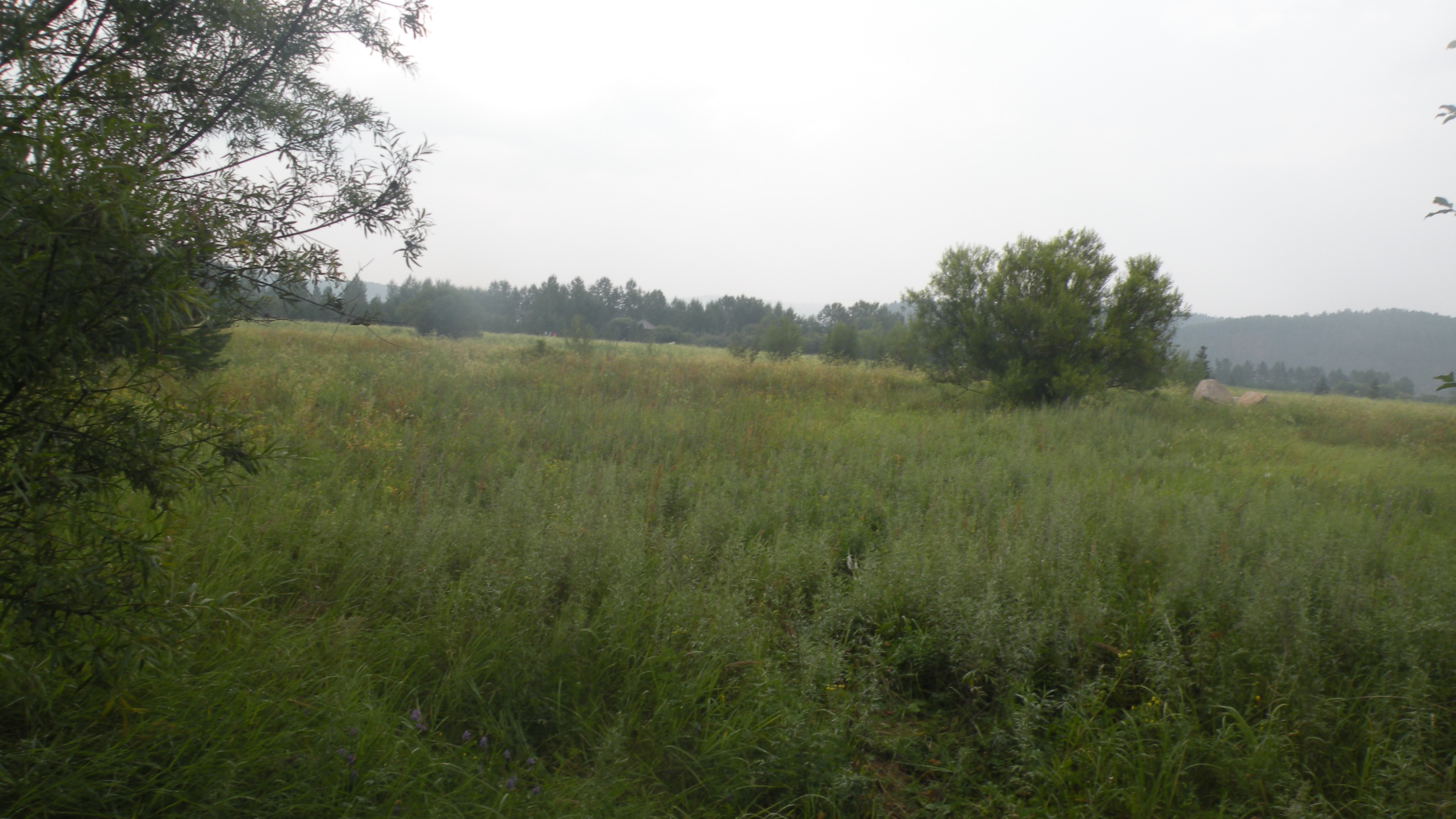DSCN0204.JPG