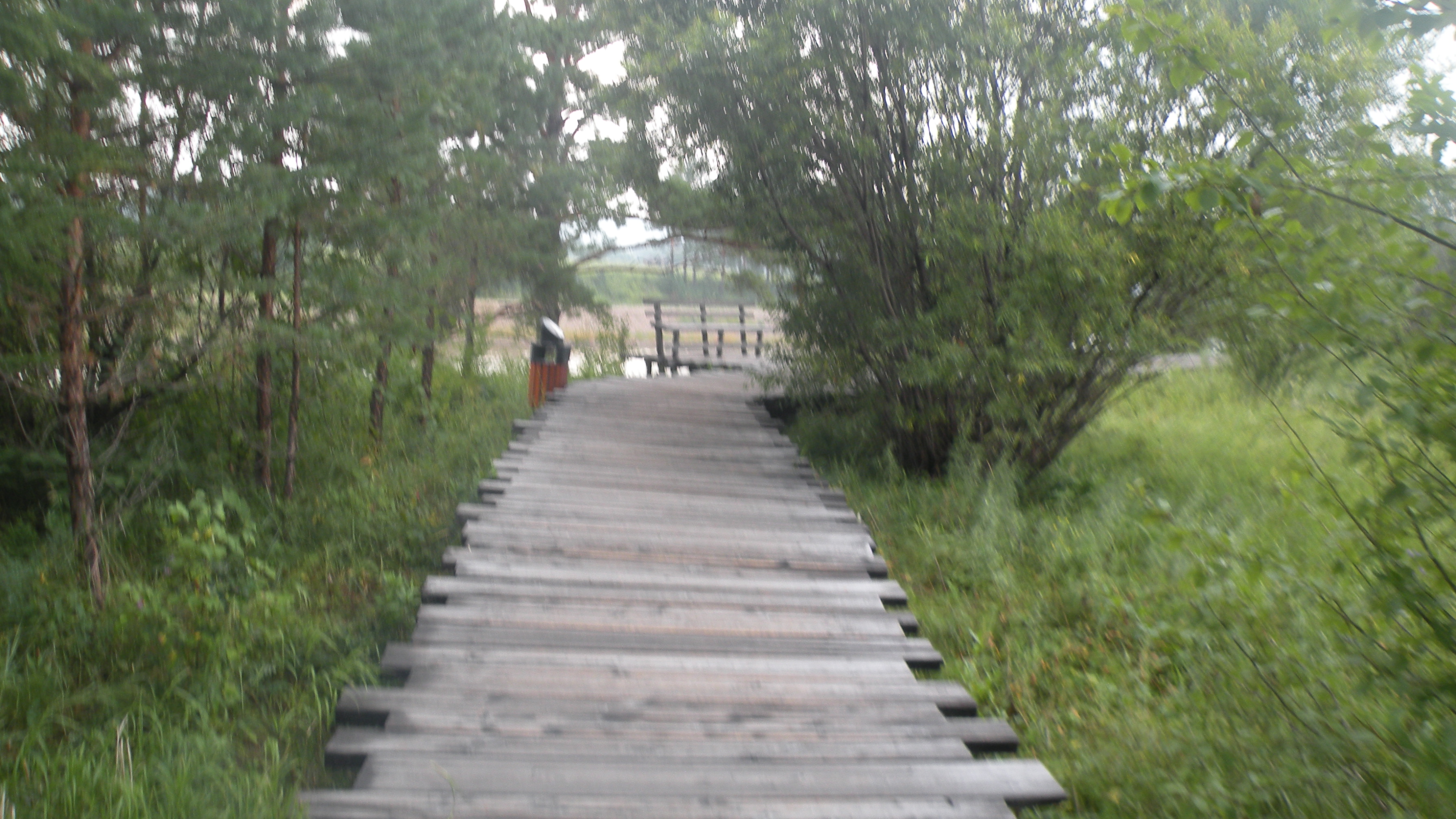 DSCN0203.JPG