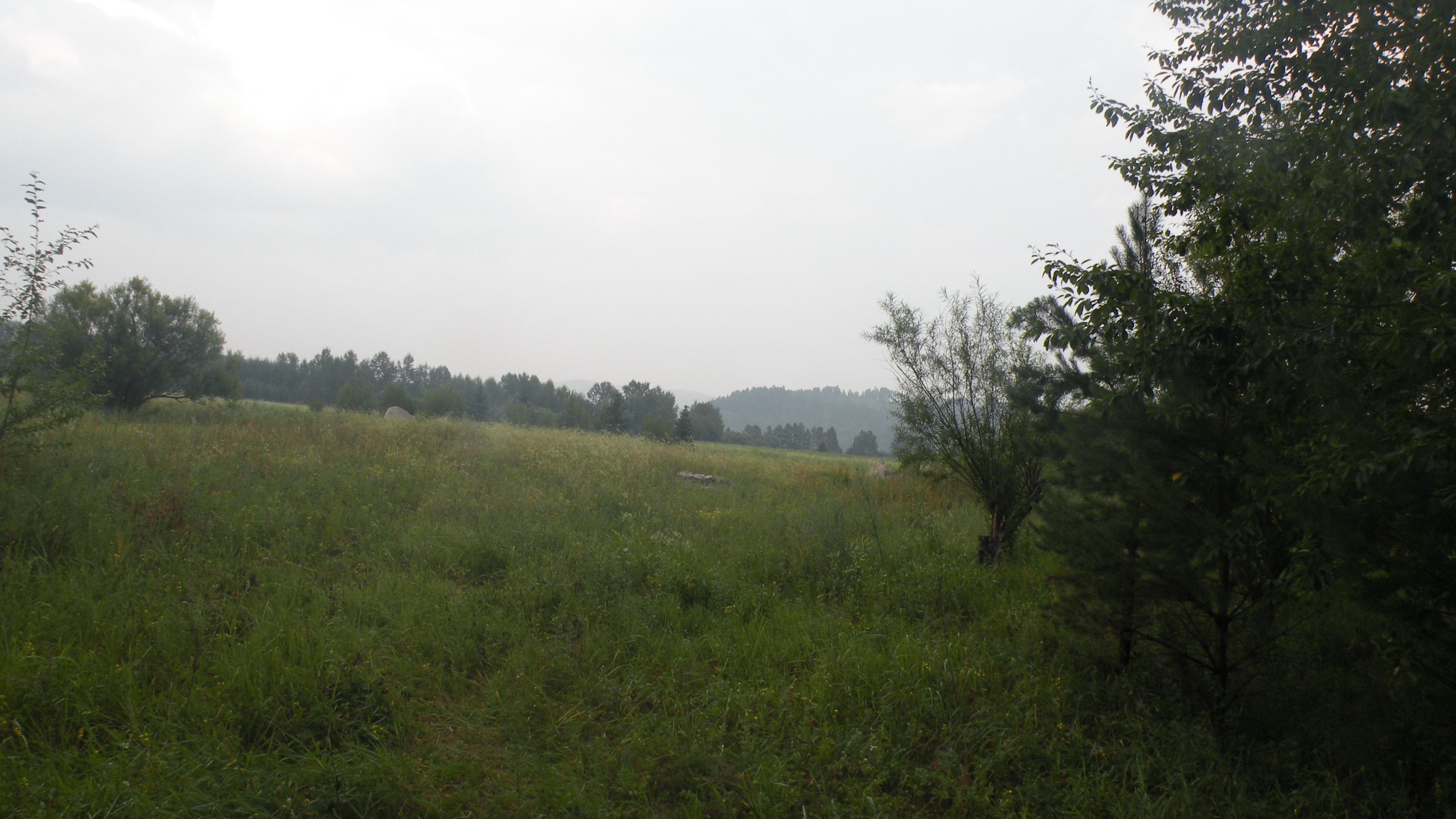 DSCN0202.JPG