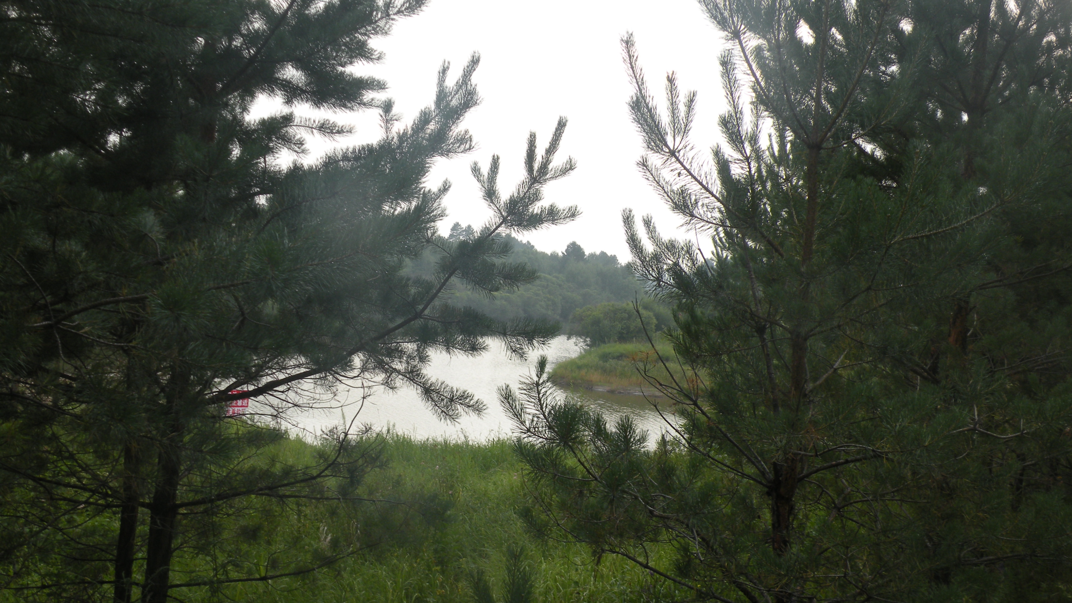 DSCN0200.JPG