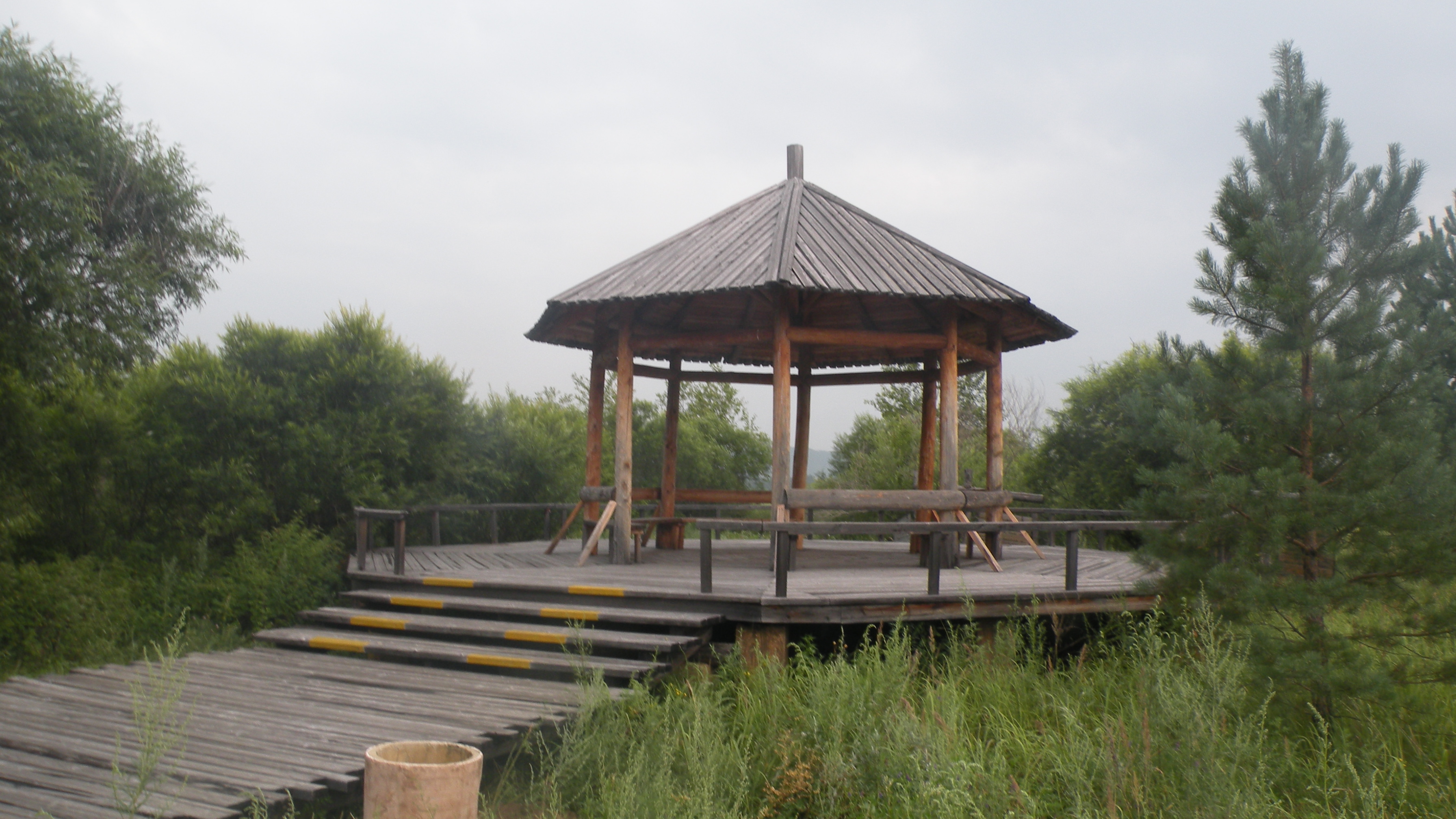 DSCN0231.JPG