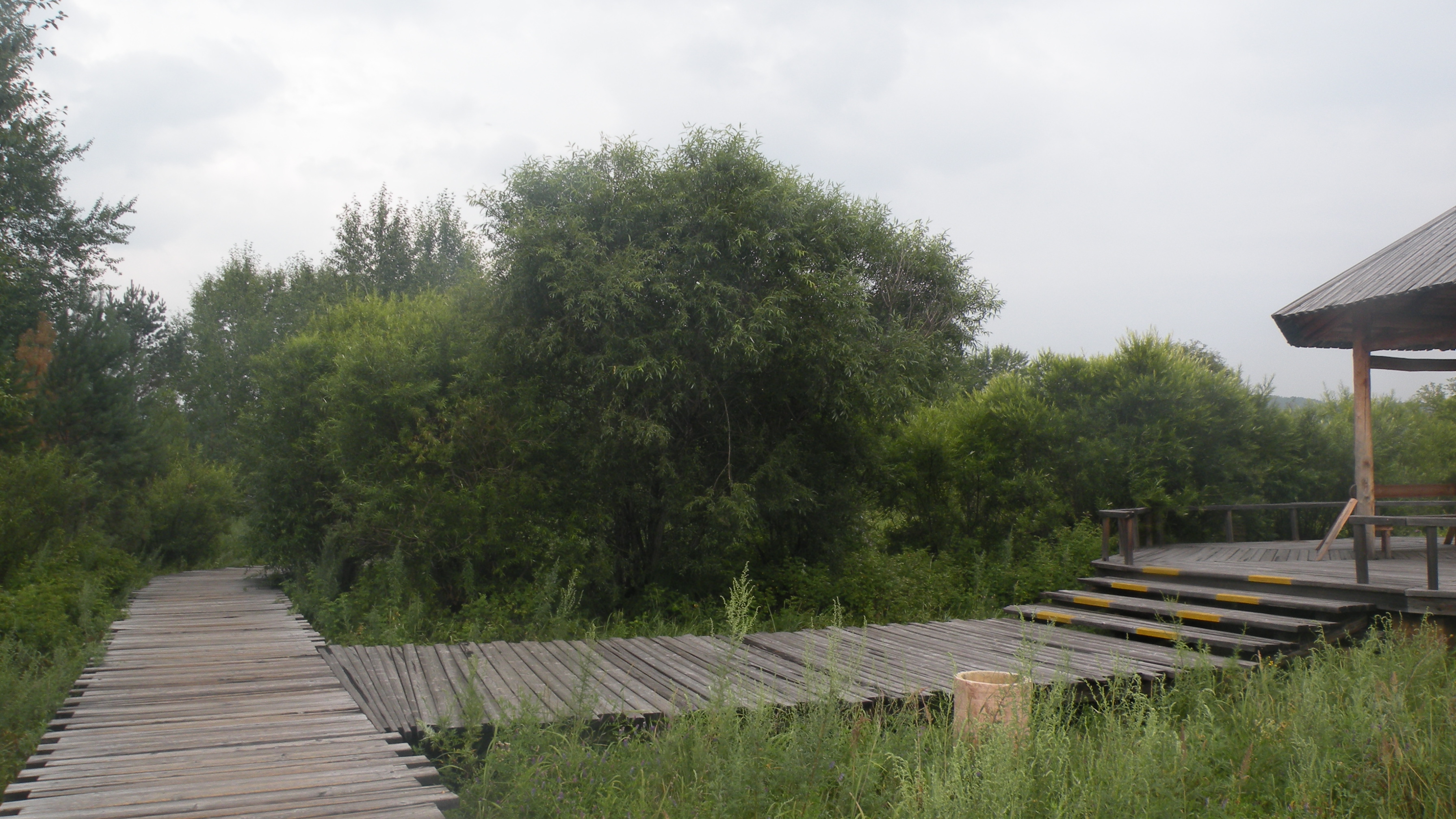 DSCN0230.JPG
