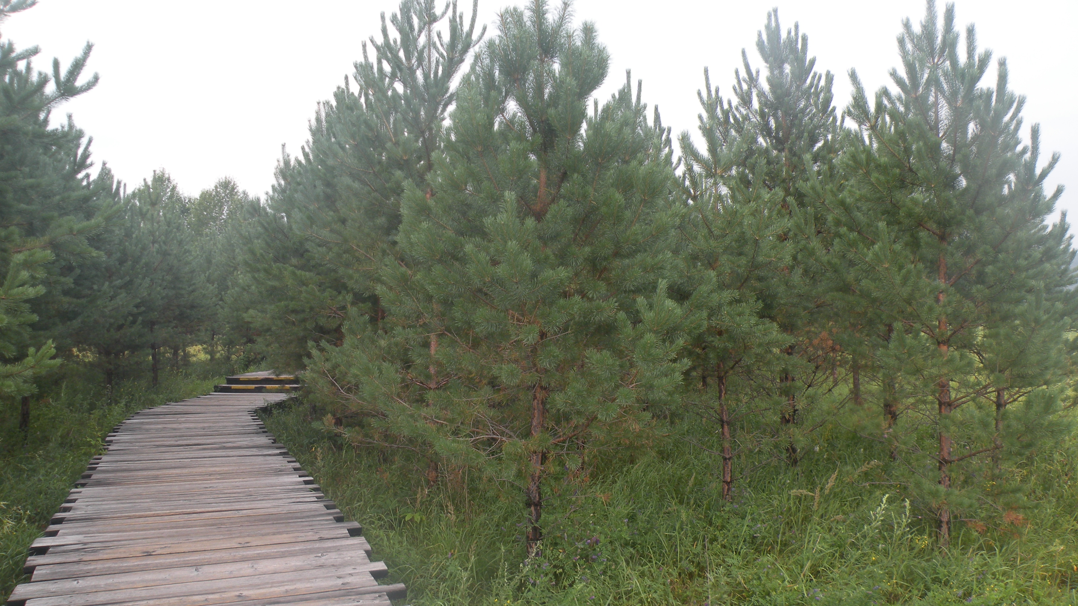 DSCN0228.JPG