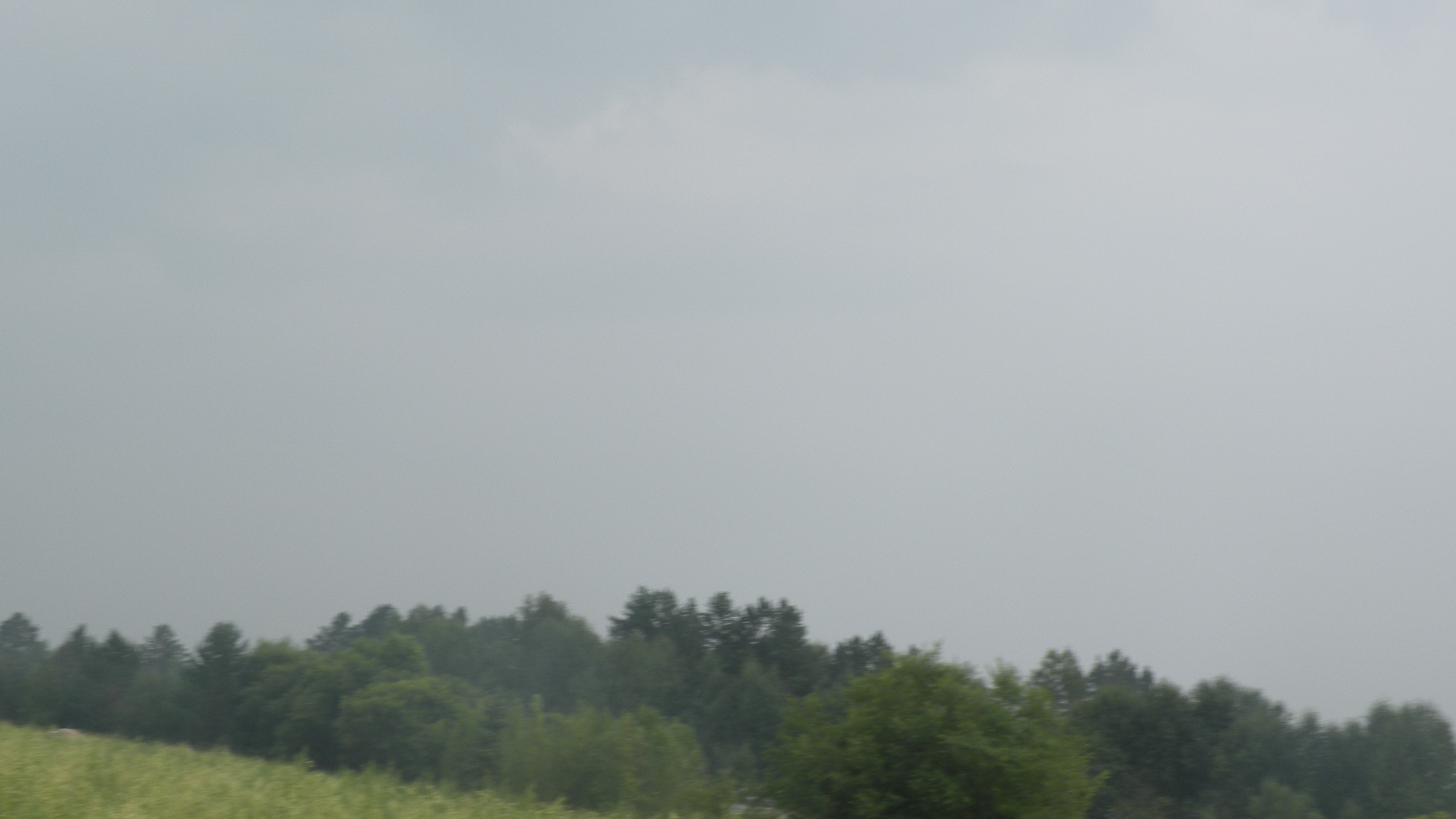 DSCN0226.JPG