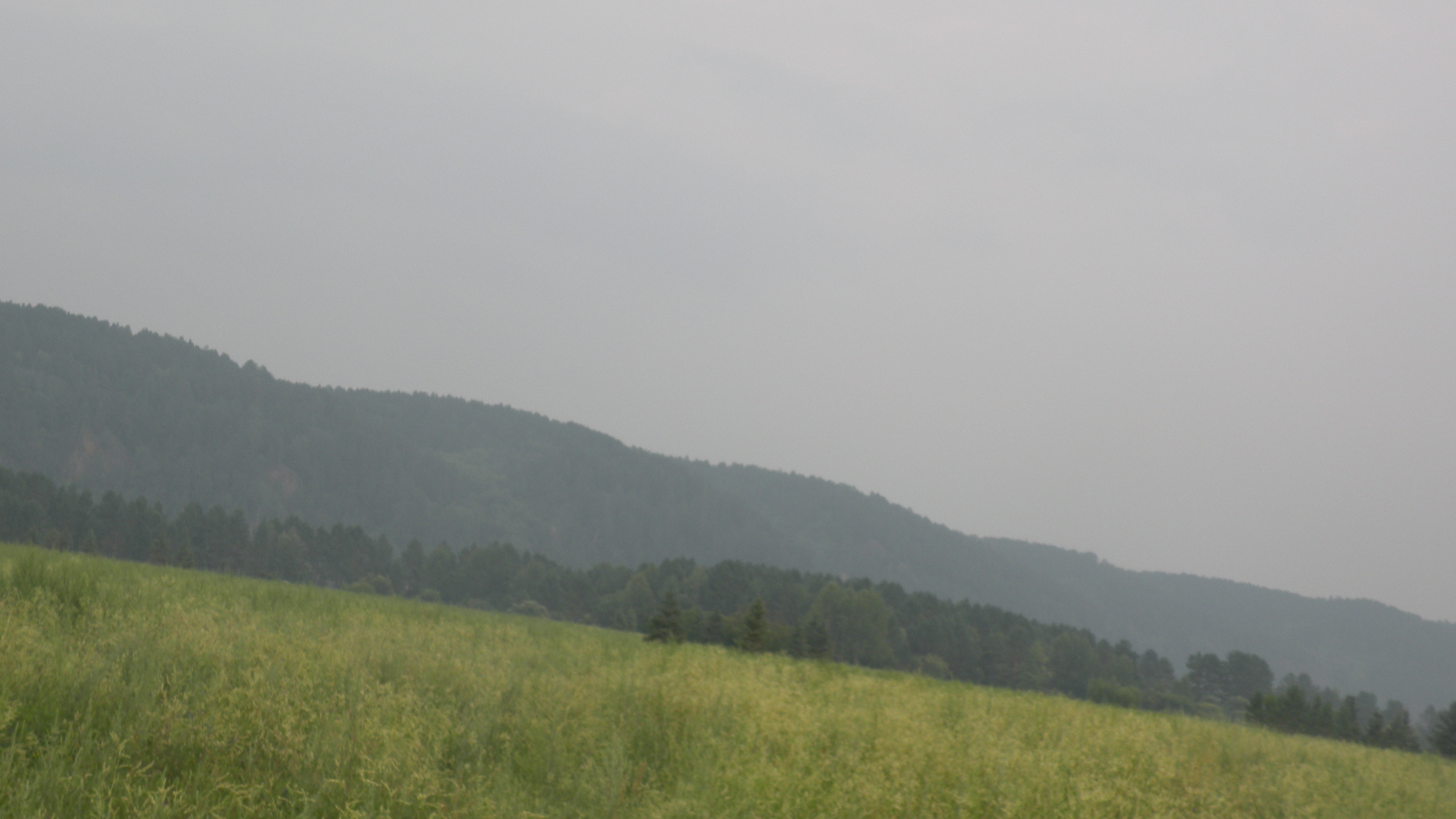 DSCN0225.JPG