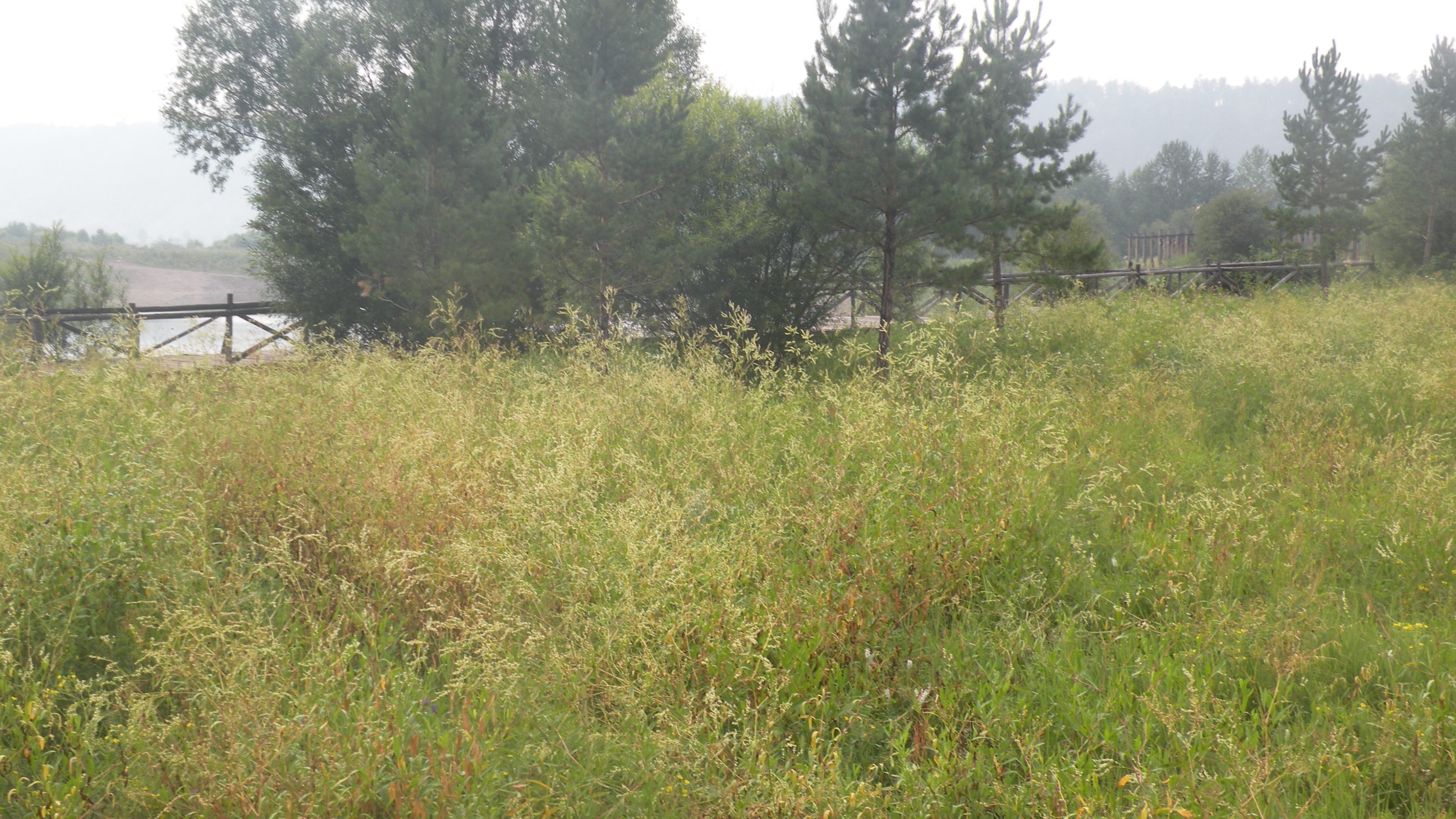 DSCN0220.JPG