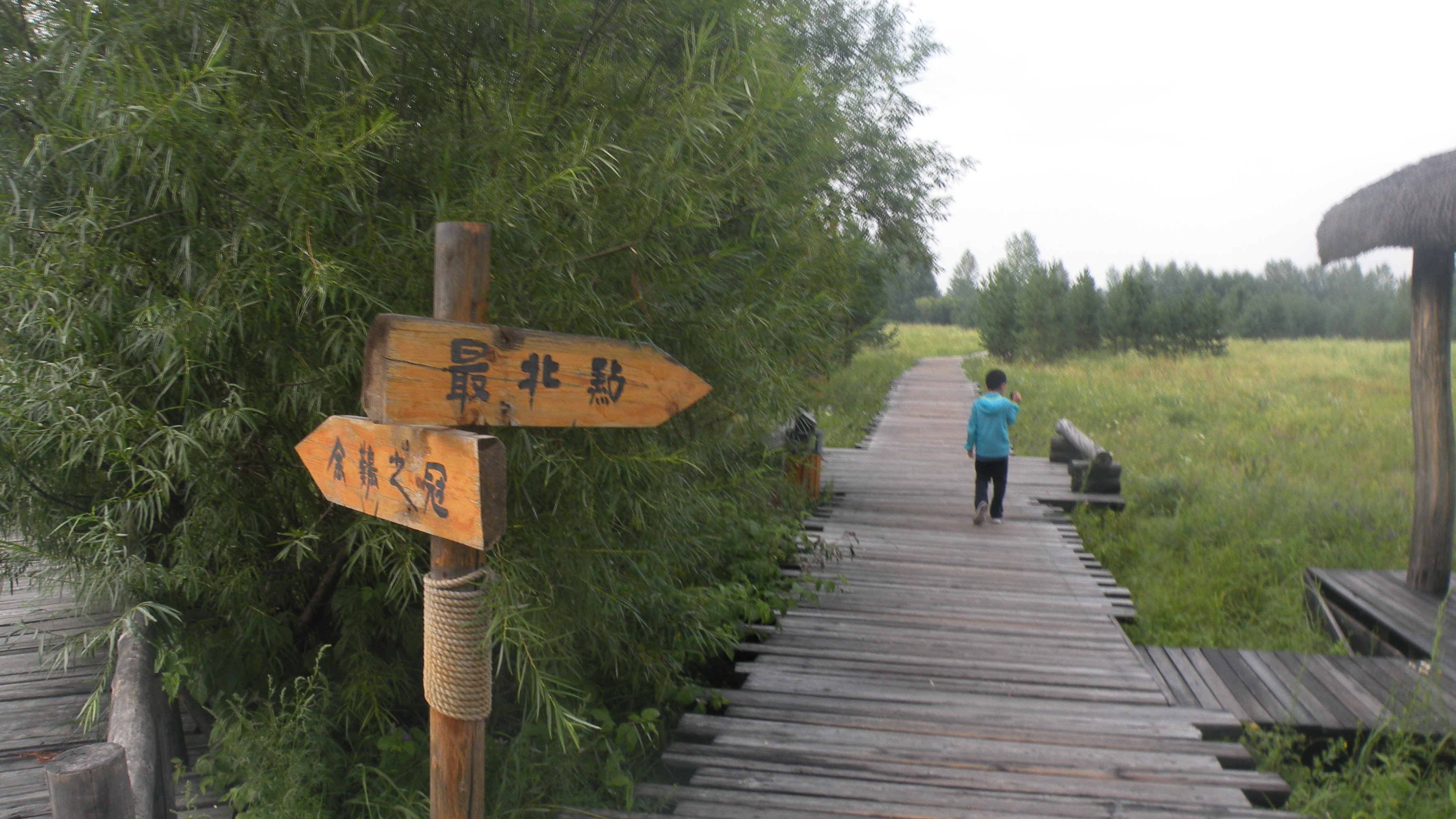 DSCN0217.JPG