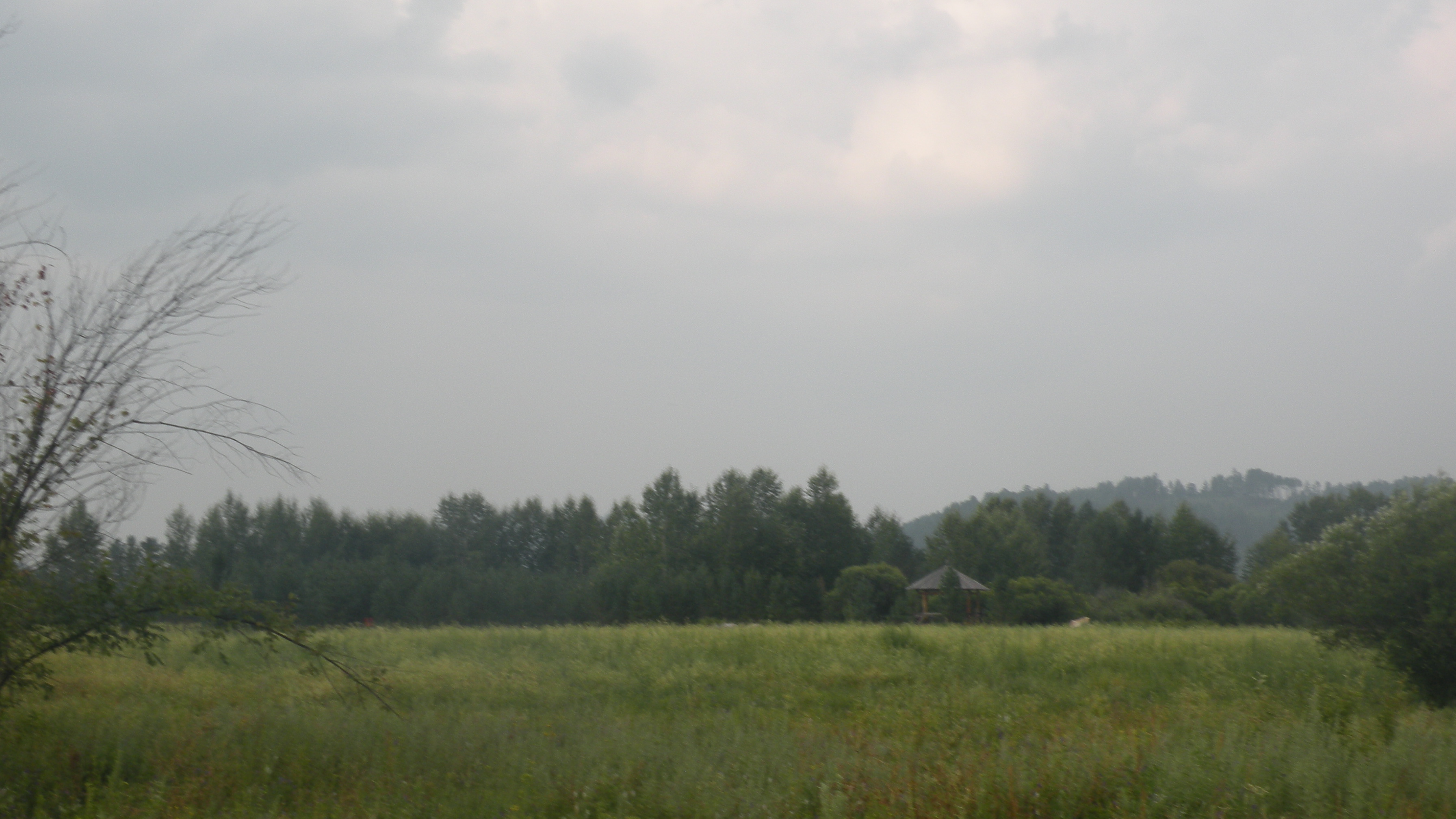 DSCN0214.JPG