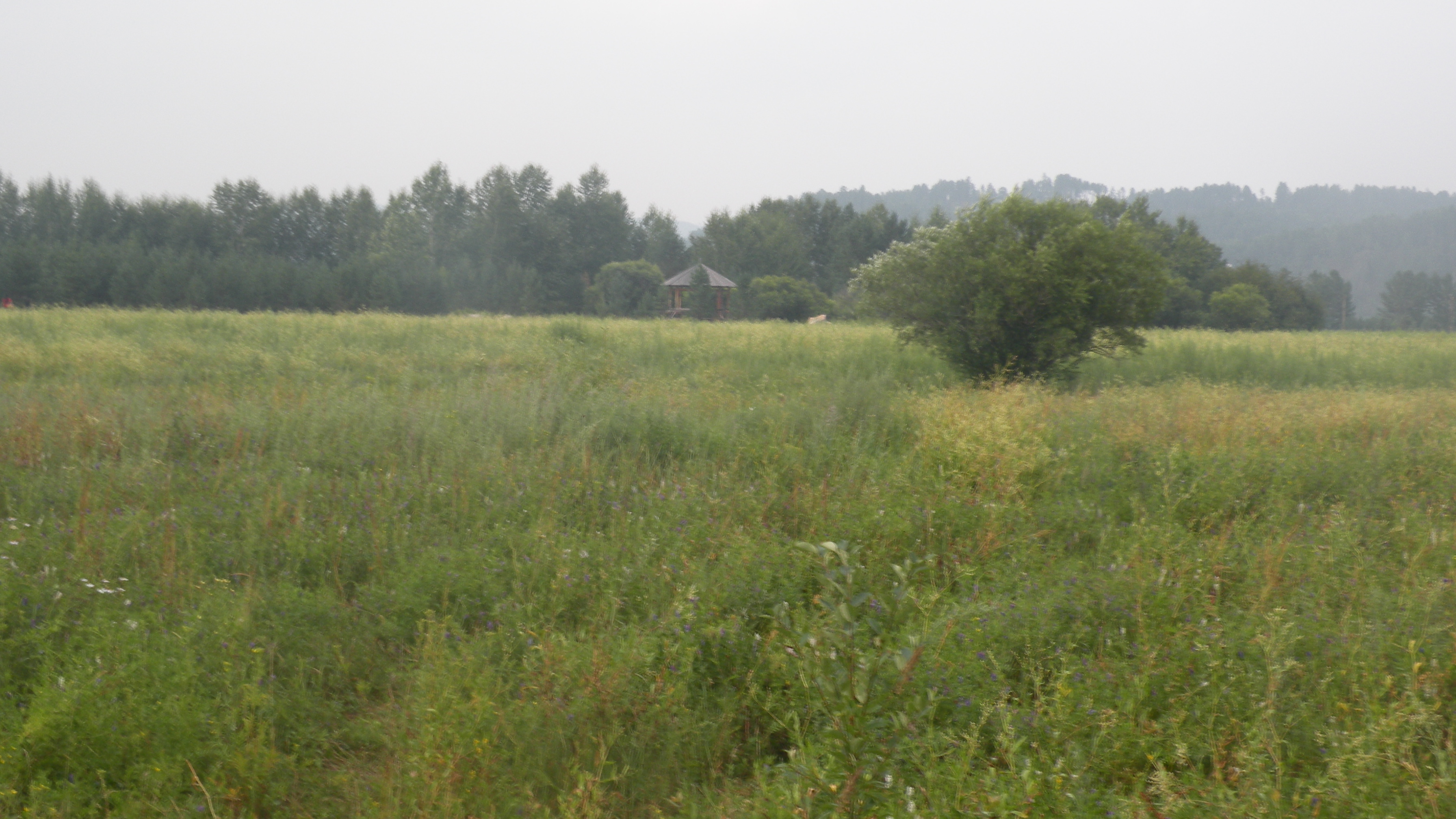 DSCN0212.JPG
