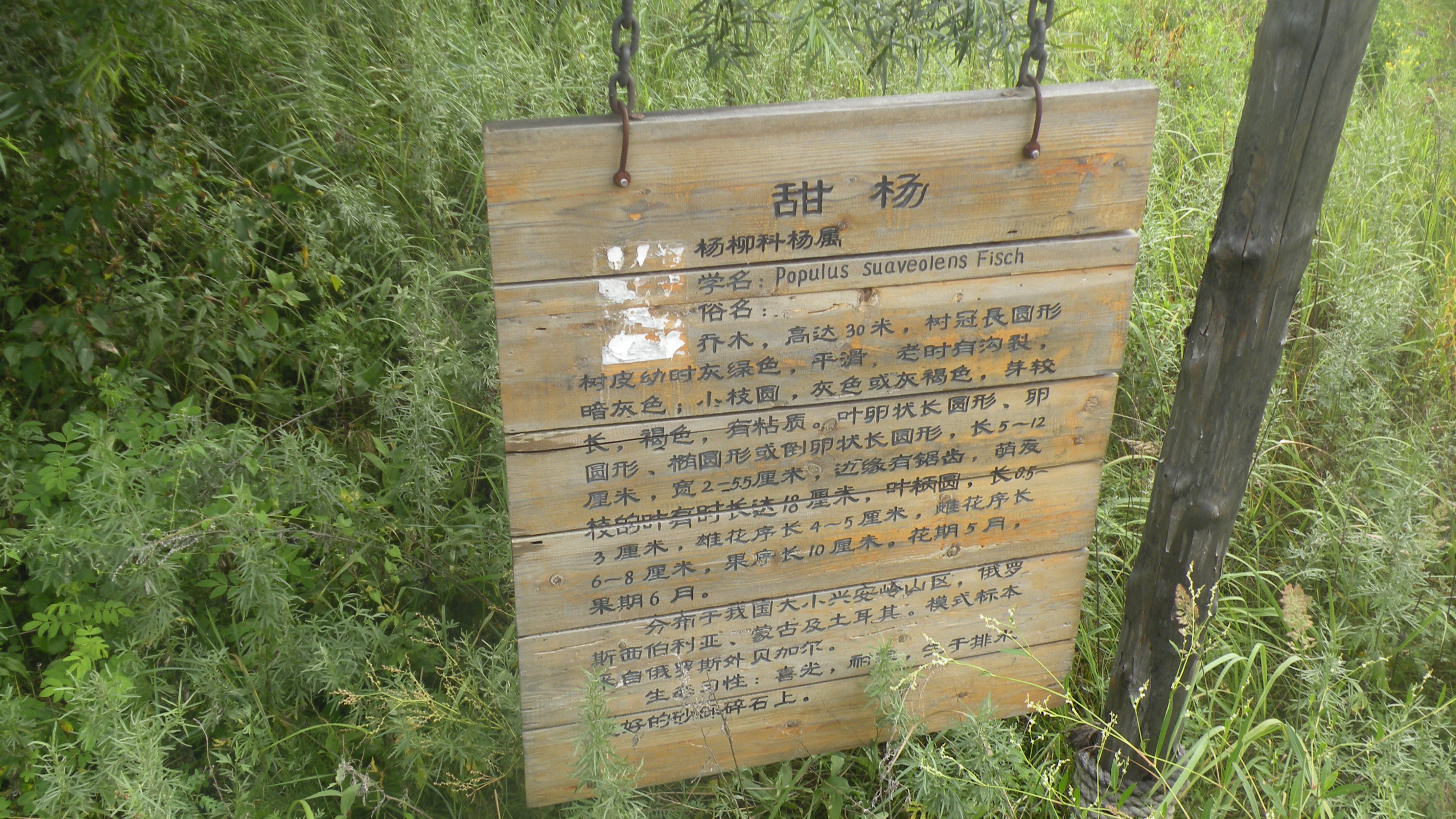 DSCN0234.JPG