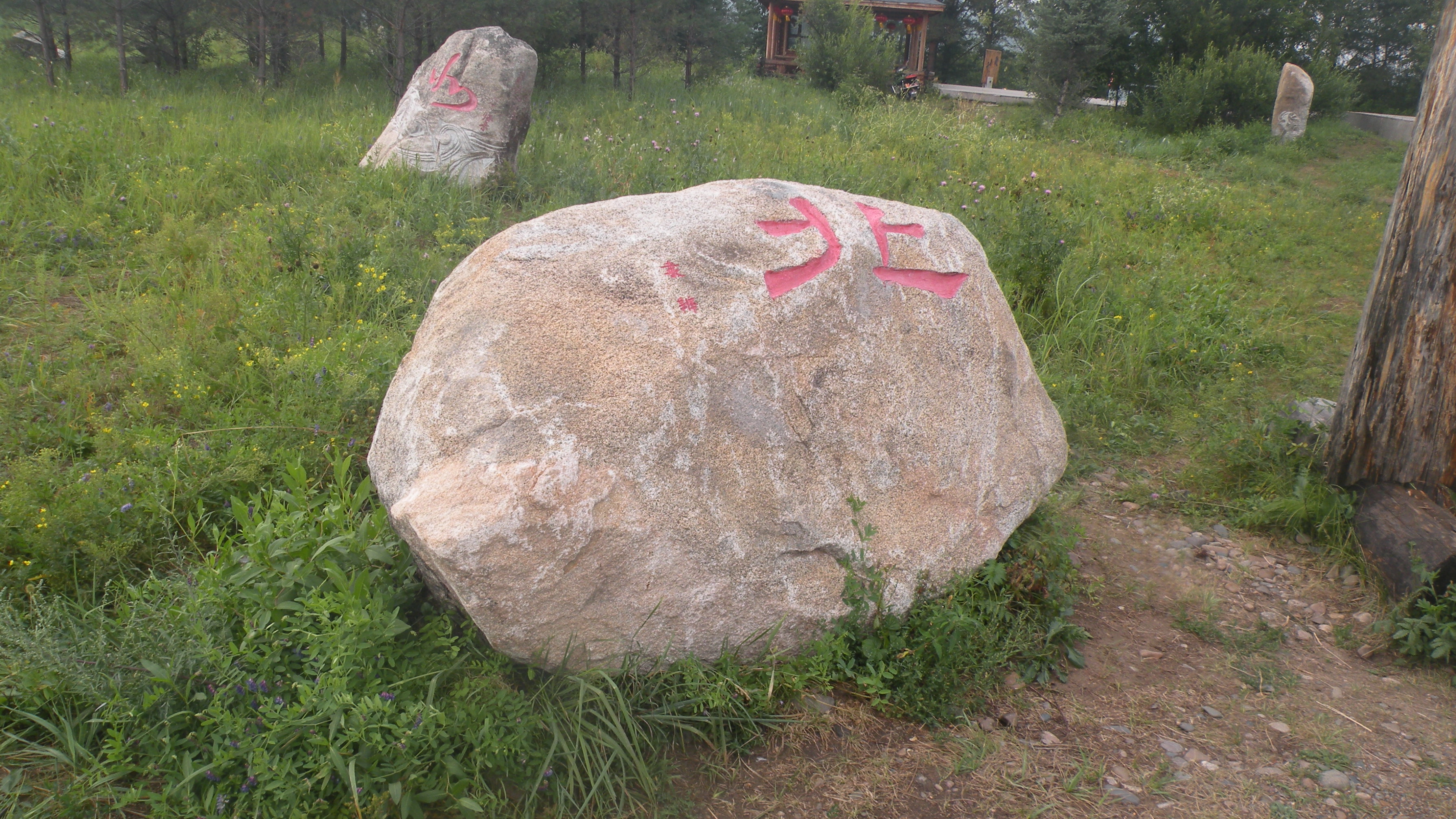 DSCN0253.JPG