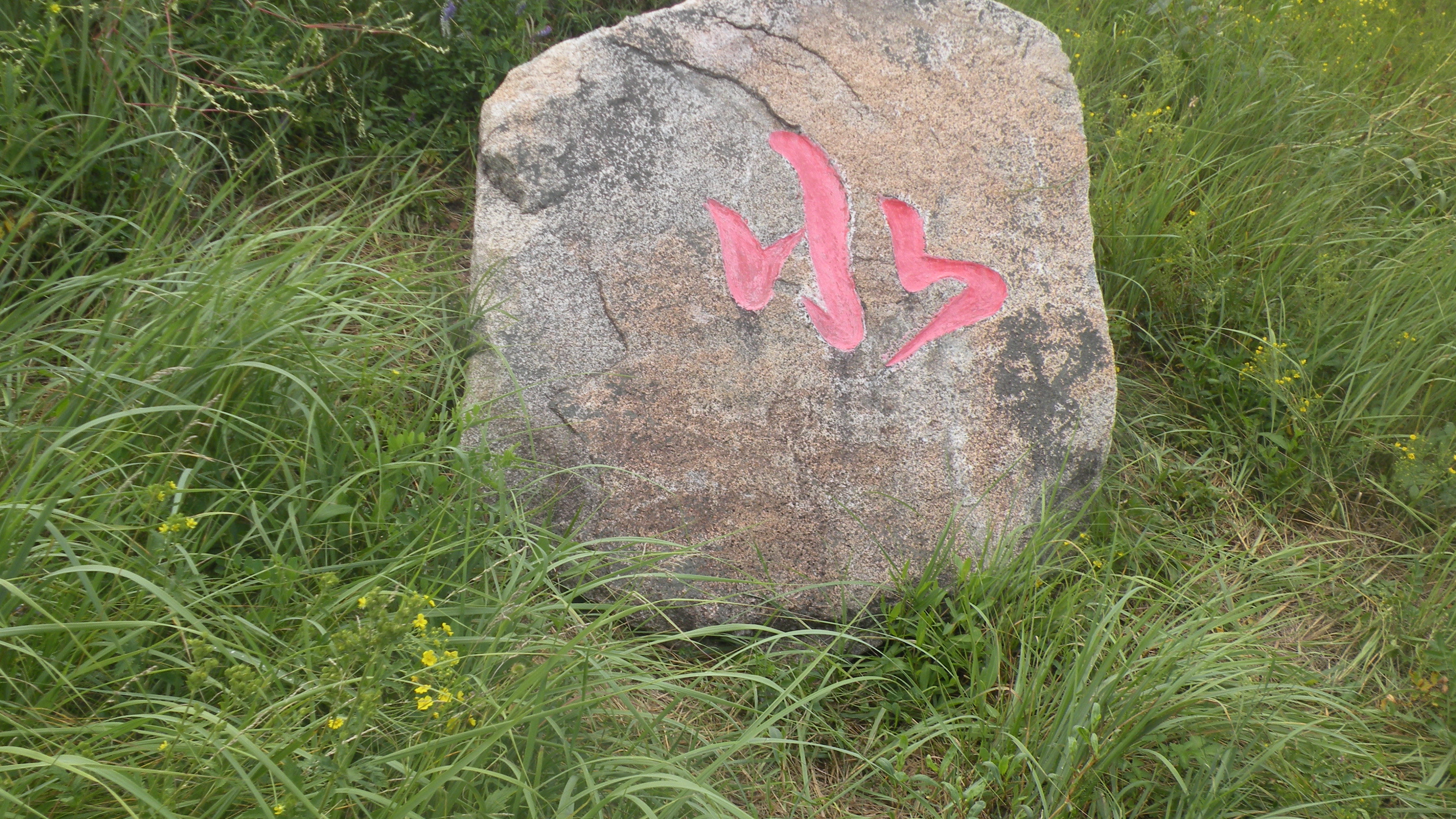 DSCN0247.JPG