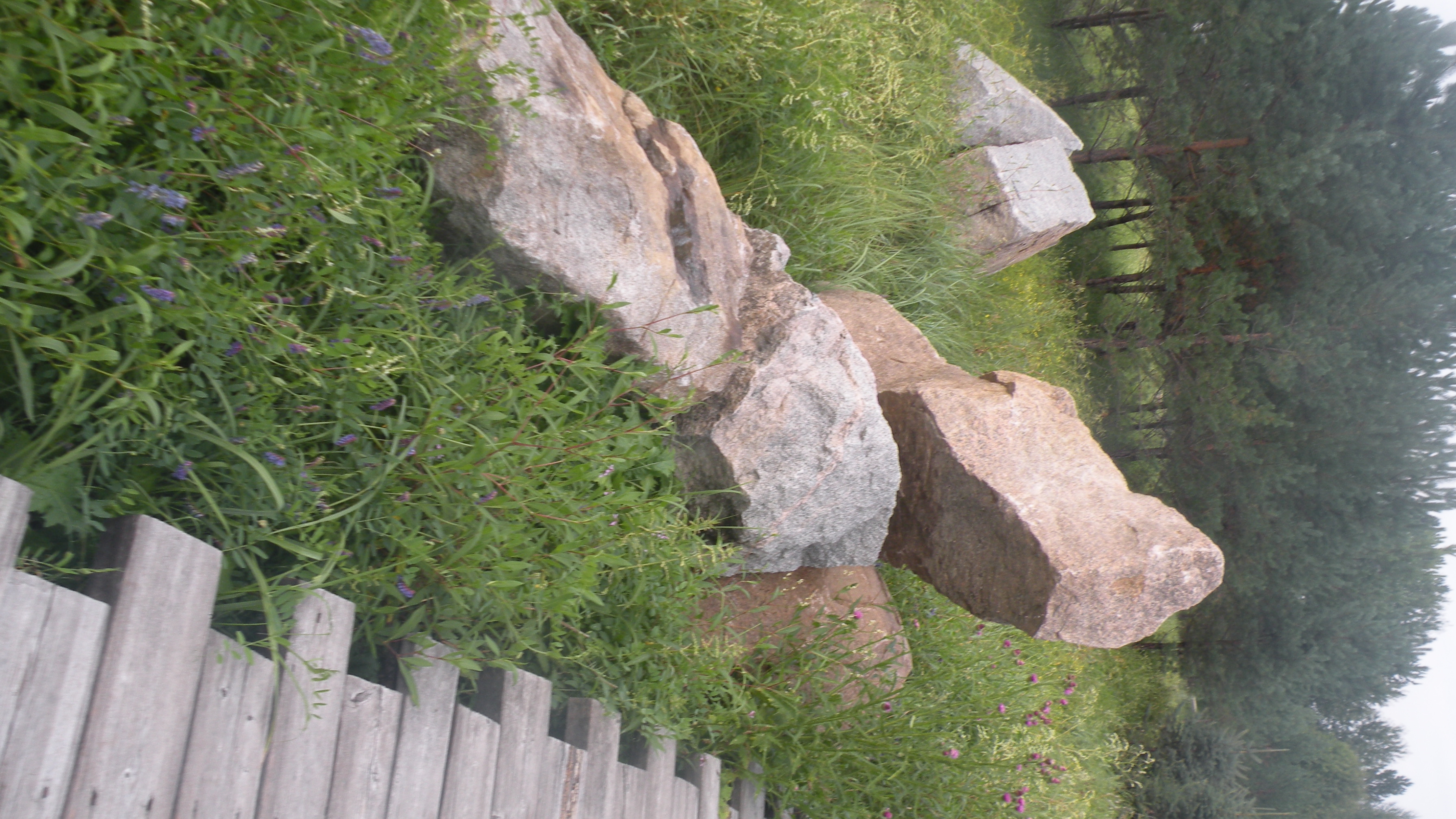 DSCN0246.JPG