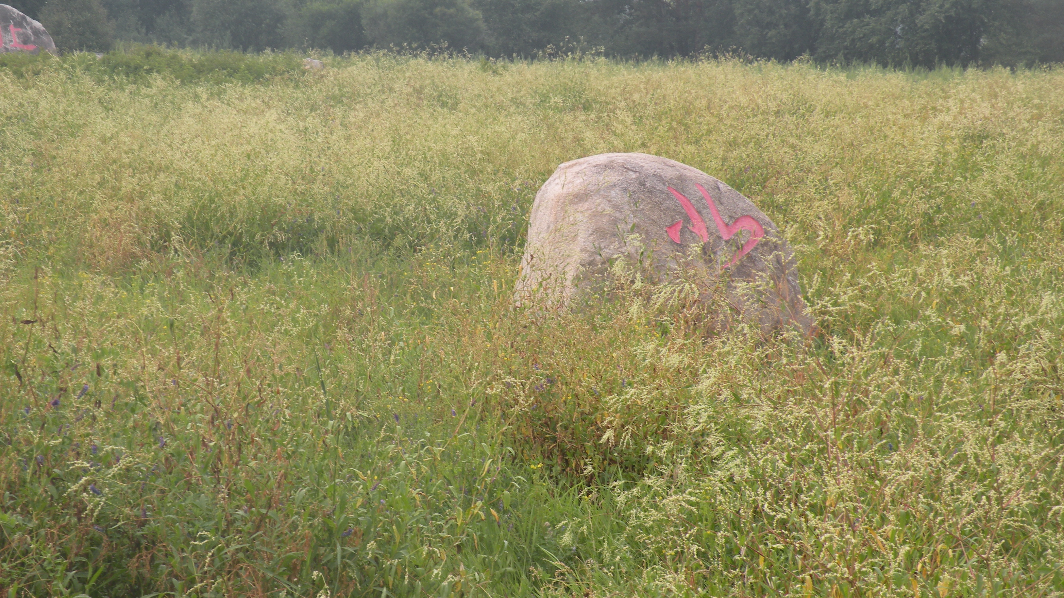 DSCN0241.JPG