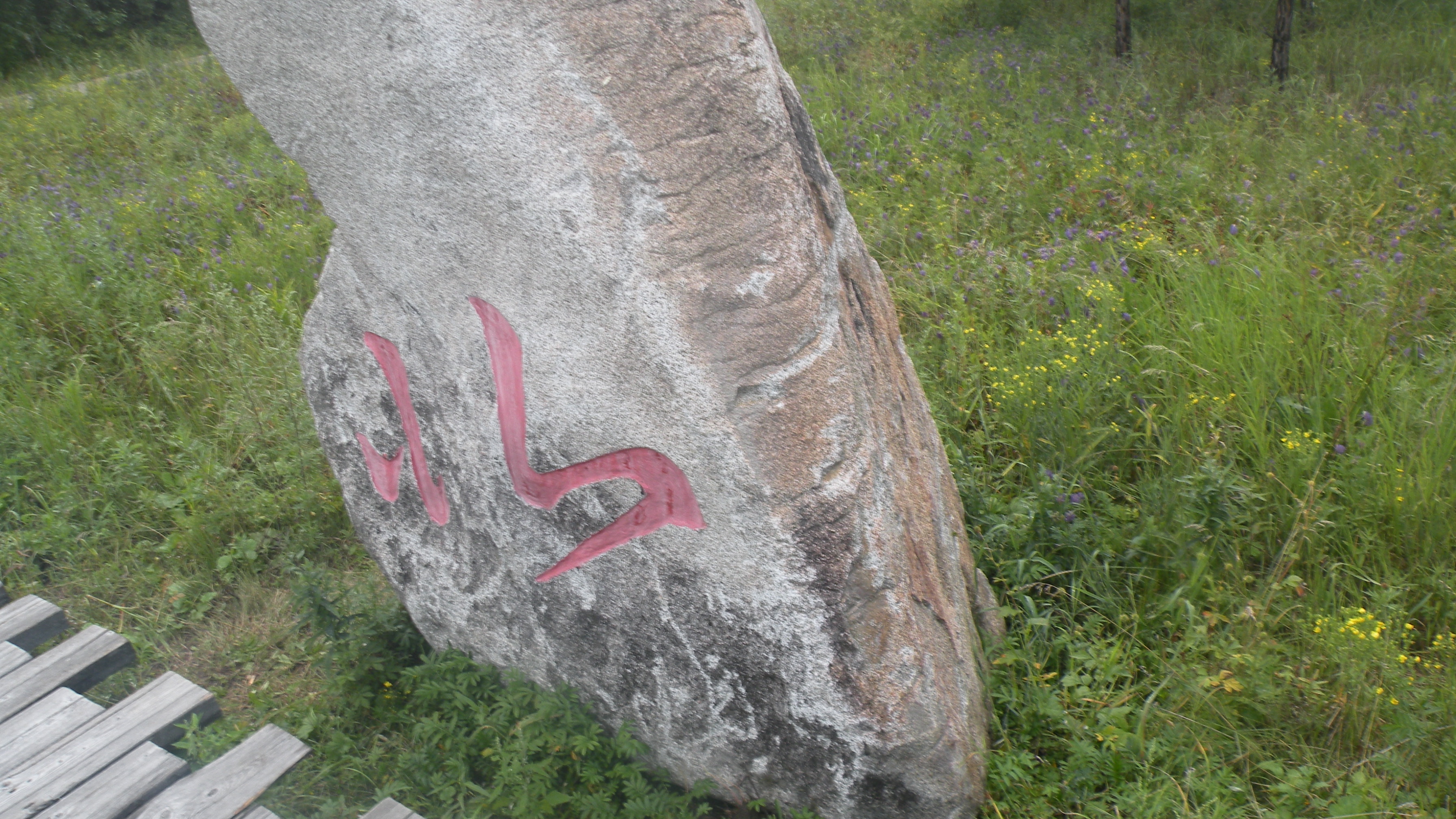 DSCN0240.JPG
