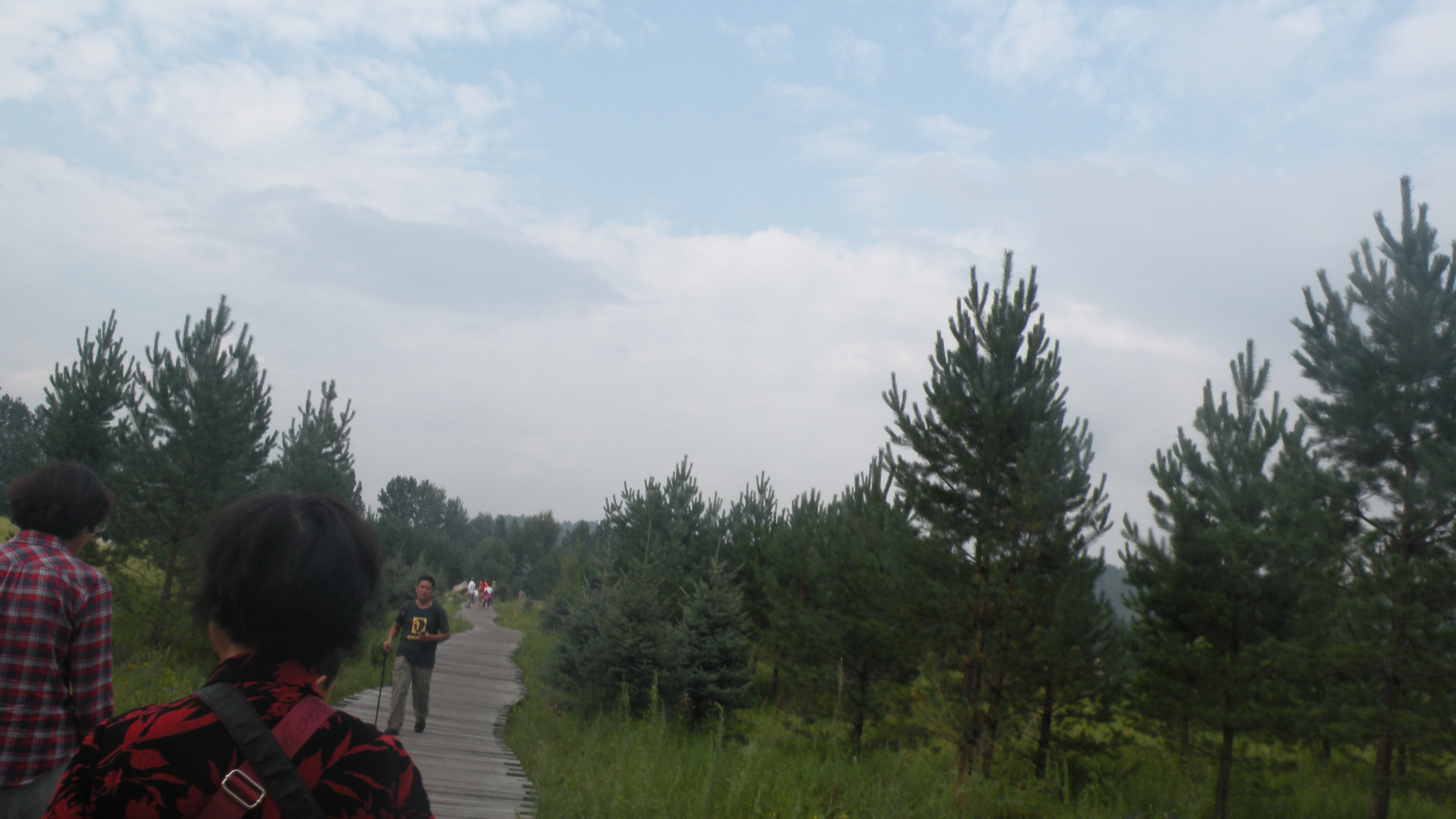 DSCN0239.JPG