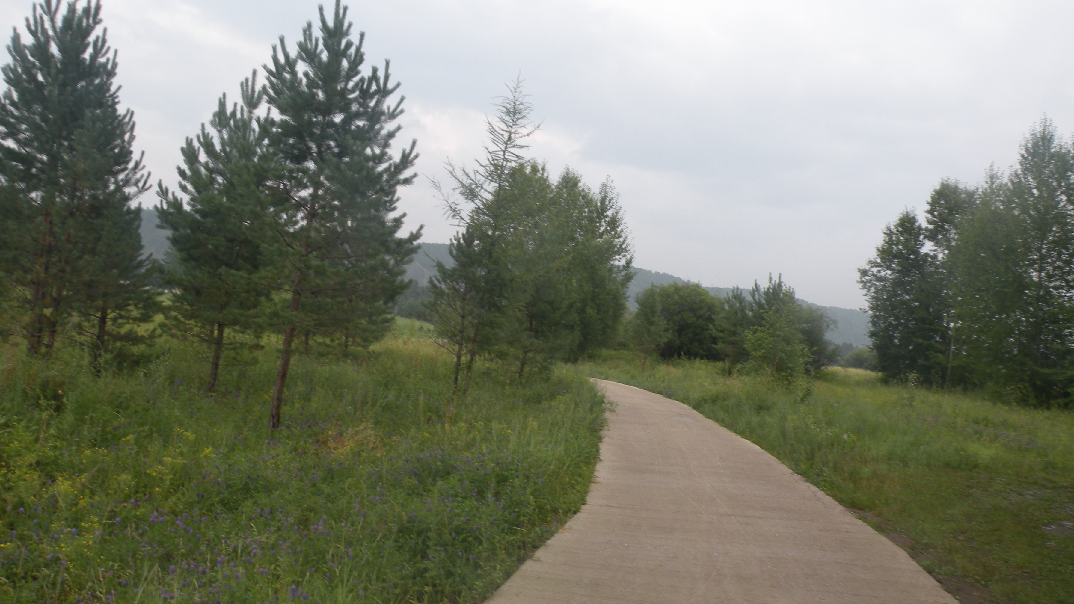 DSCN0238.JPG