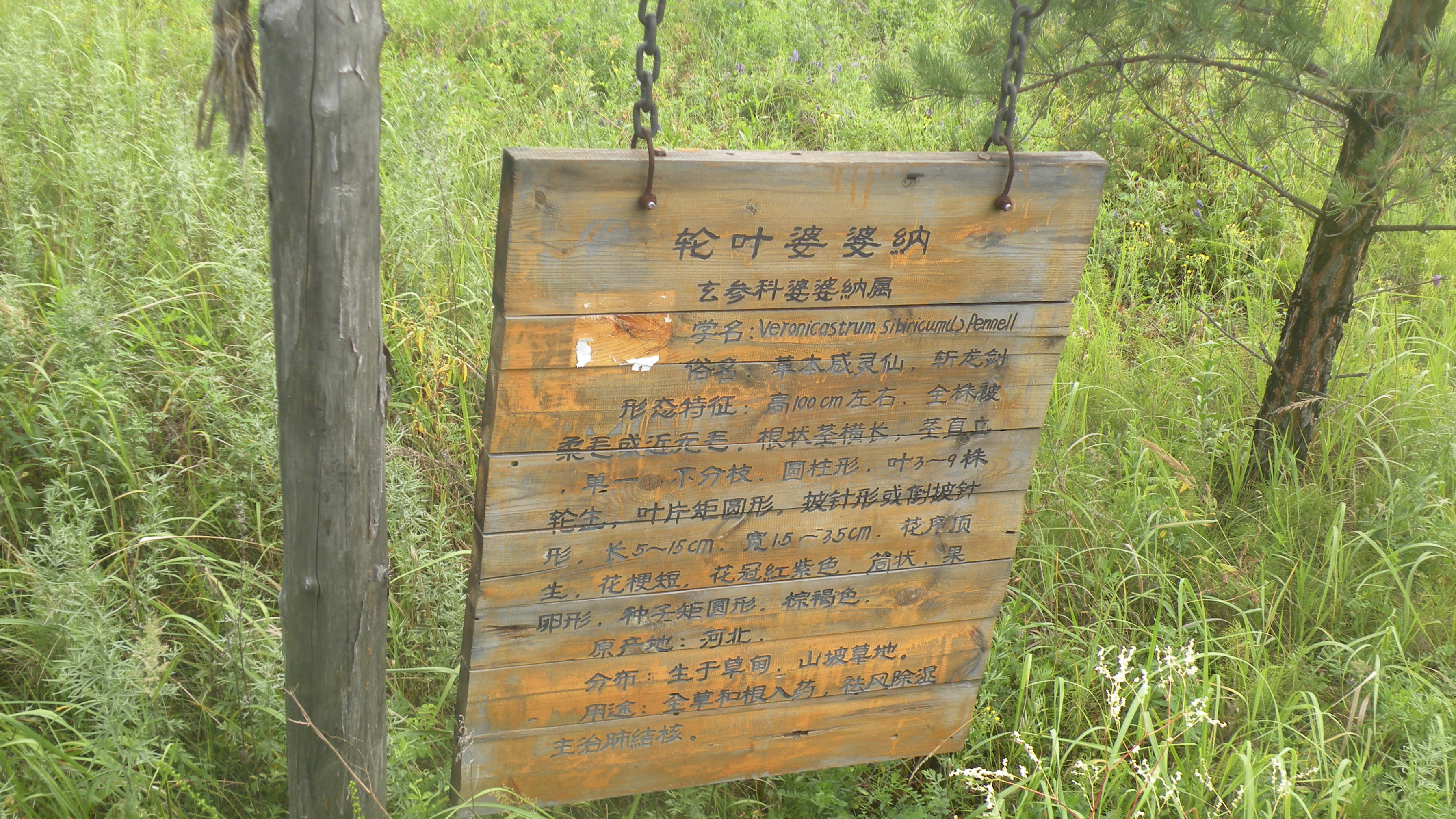 DSCN0235.JPG