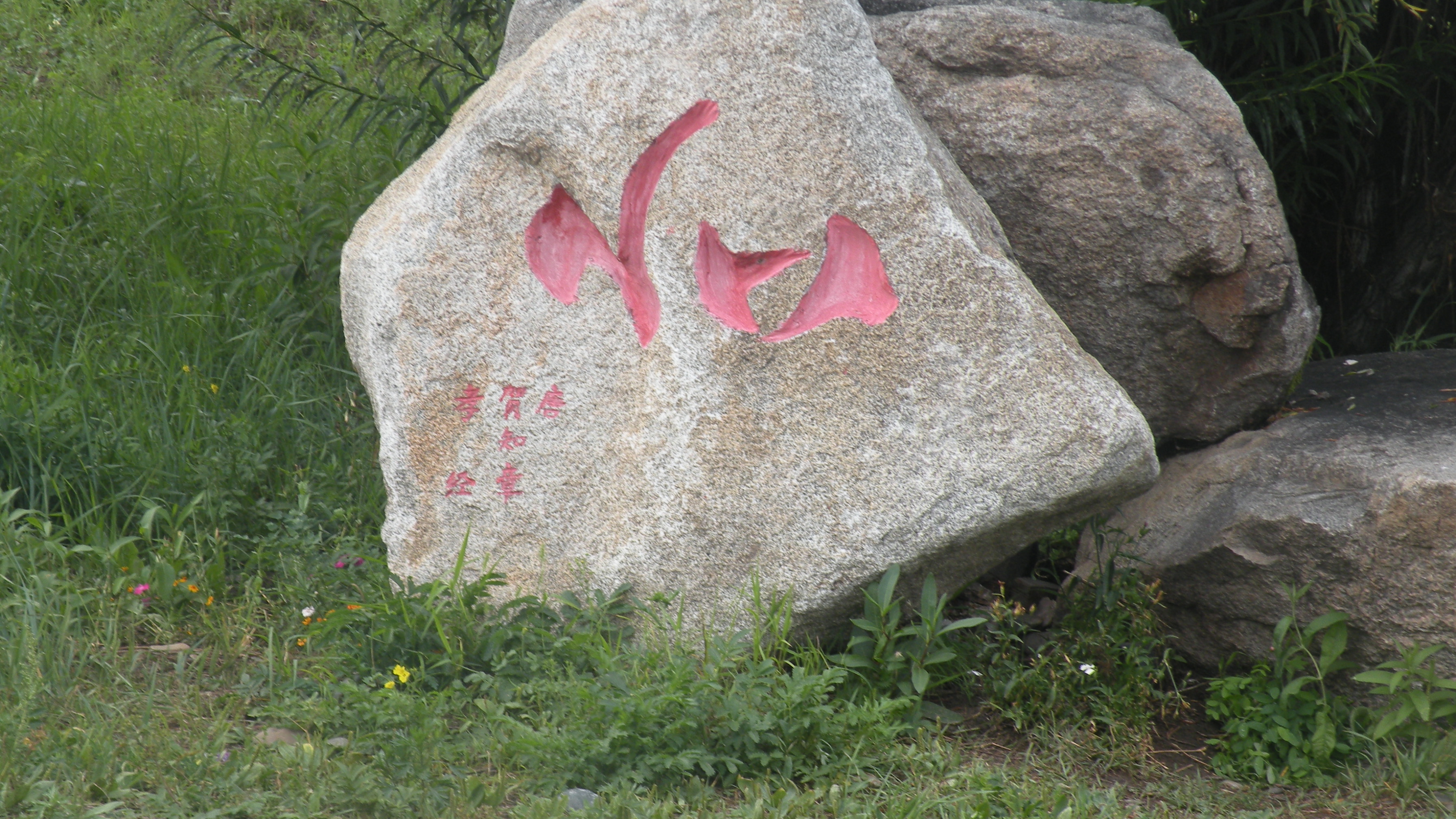 DSCN0265.JPG