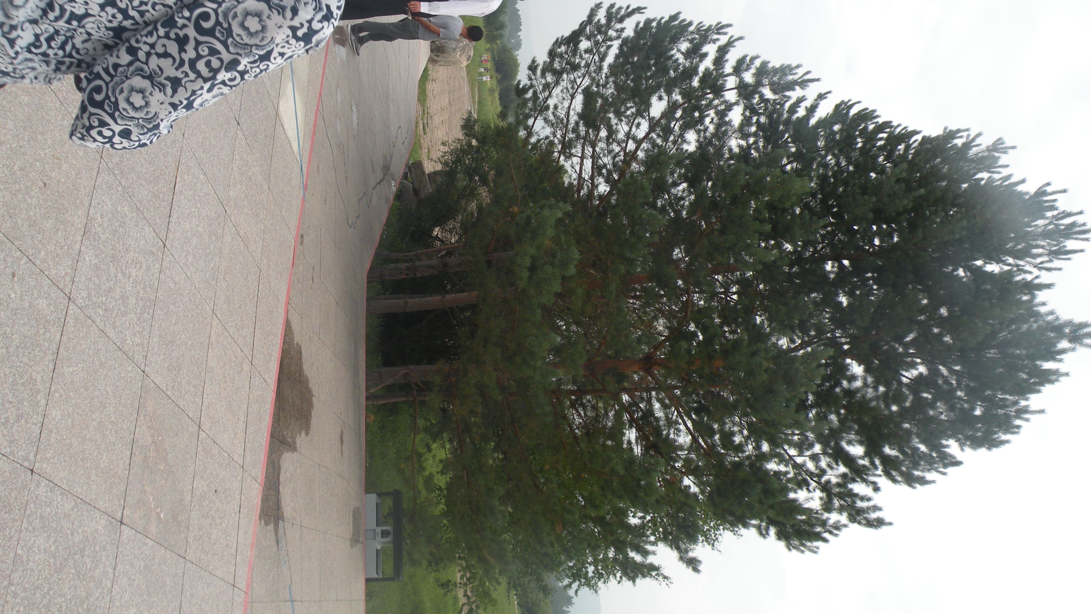 DSCN0293.JPG