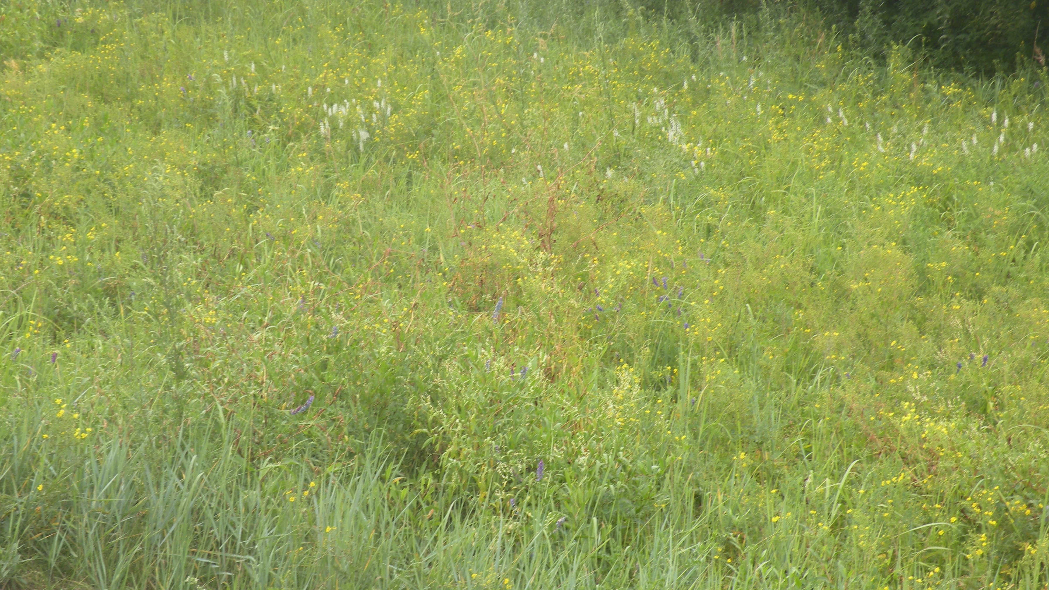 DSCN0316.JPG