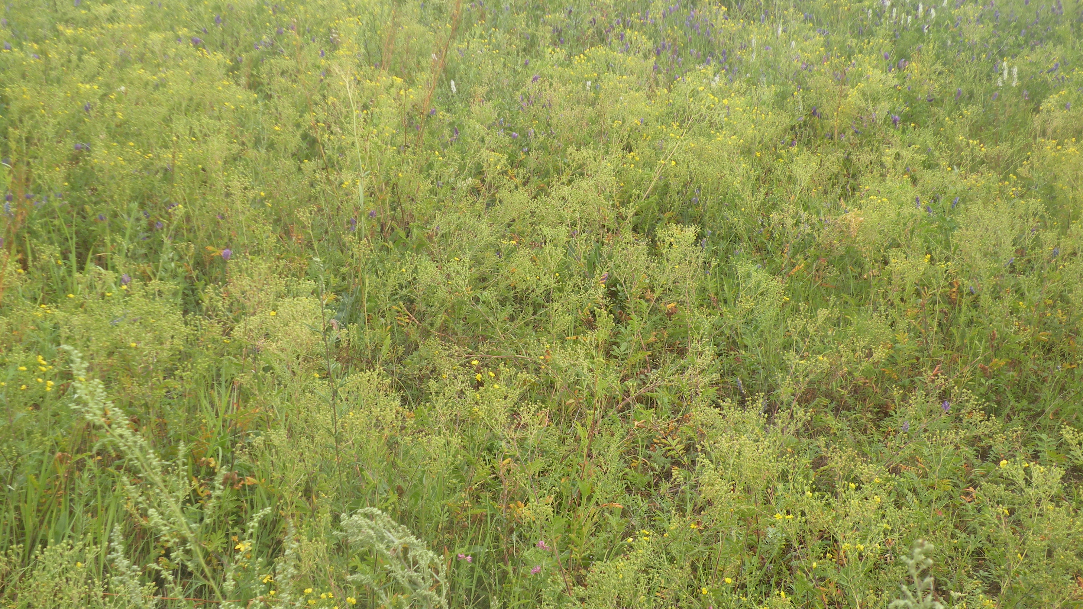 DSCN0315.JPG